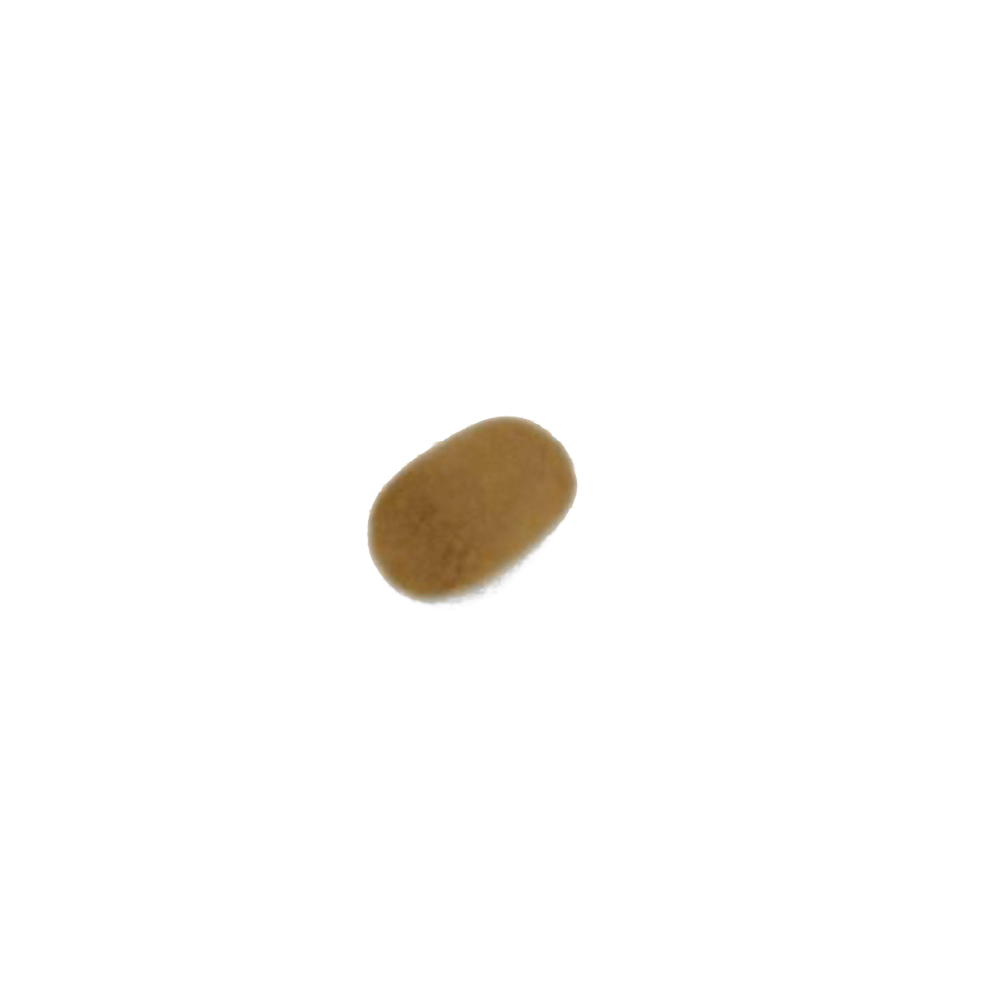 Zig Barrels Brown - Image 4