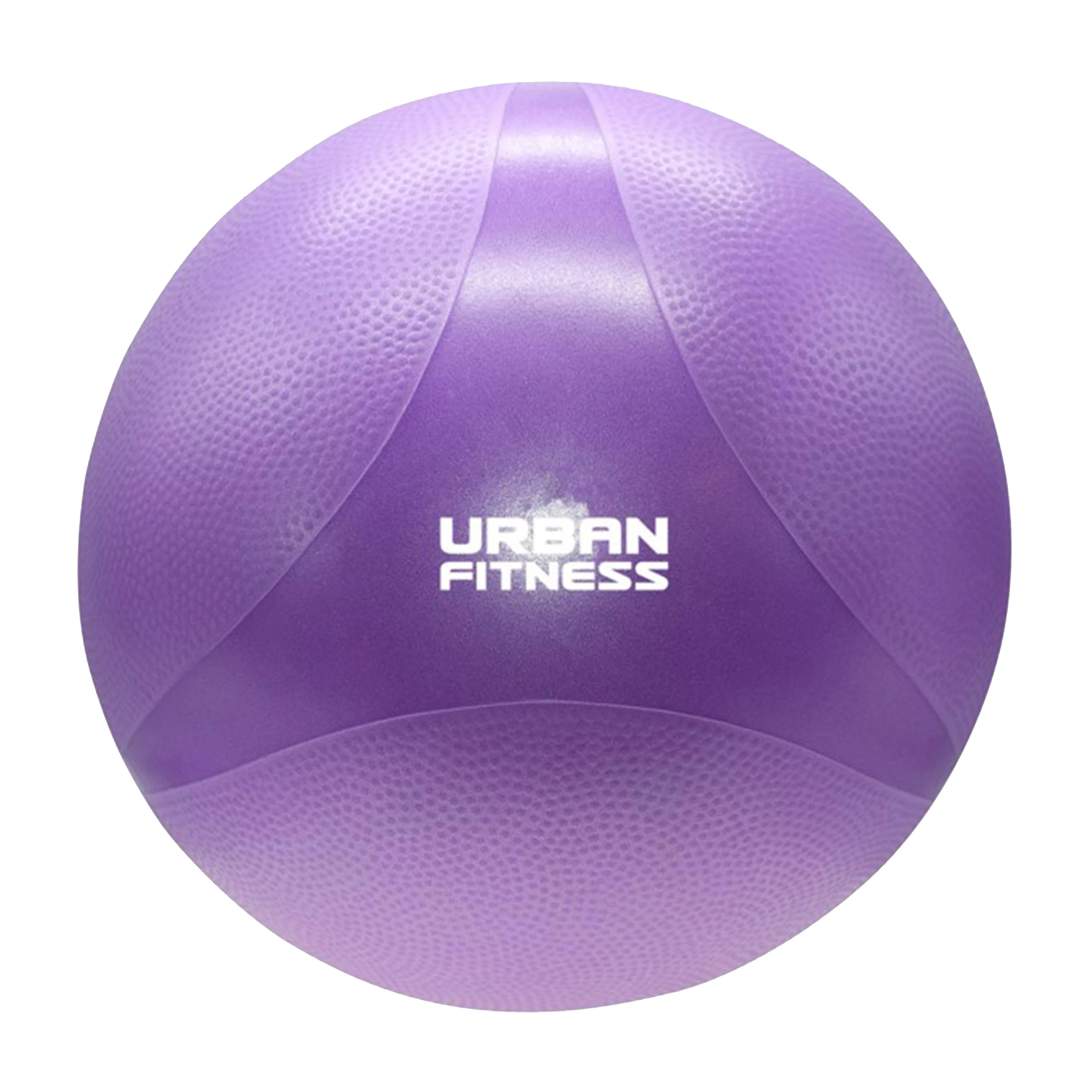 Swiss Gym Ball 55cm - Image 2
