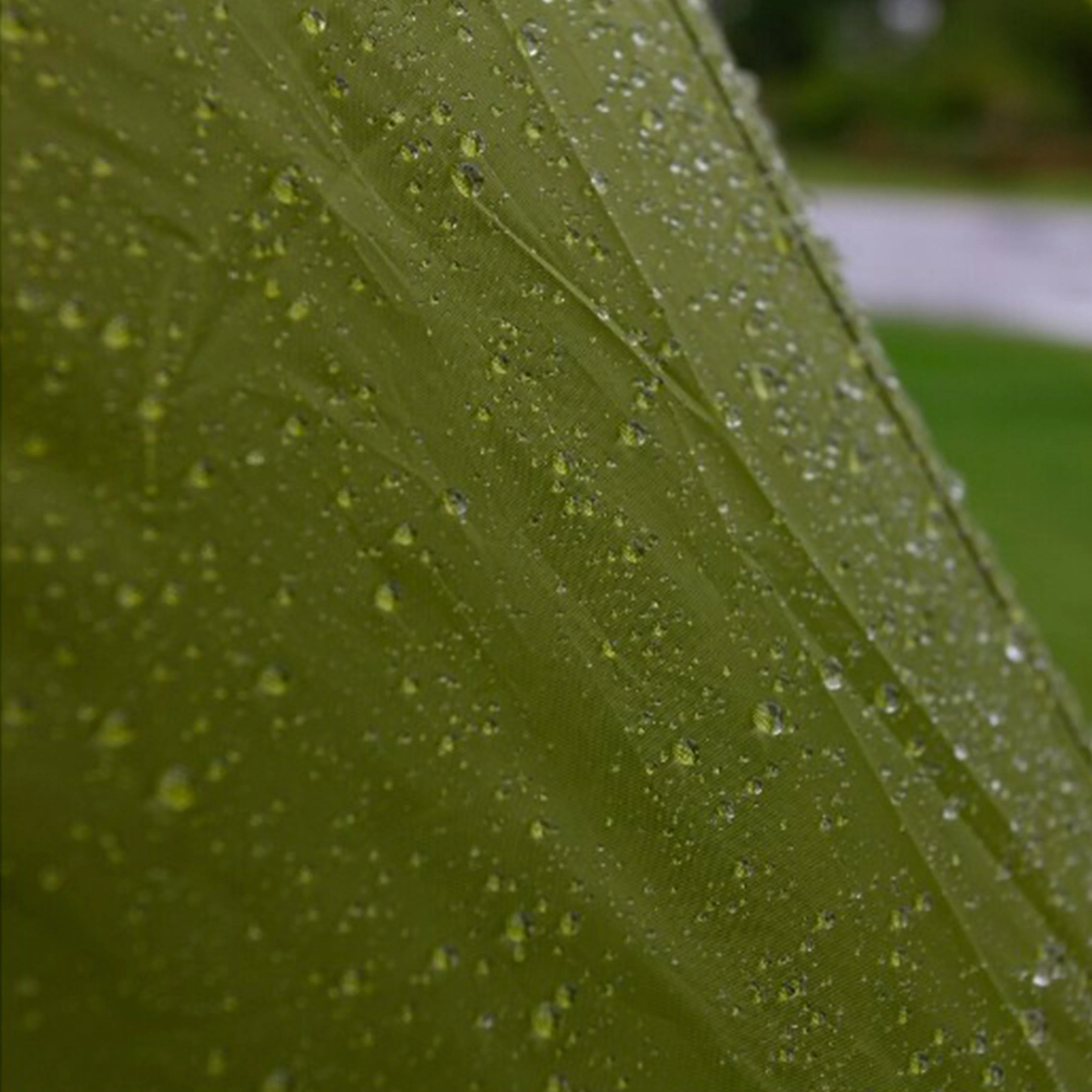 Icarus 600 DLX Tent - Image 6