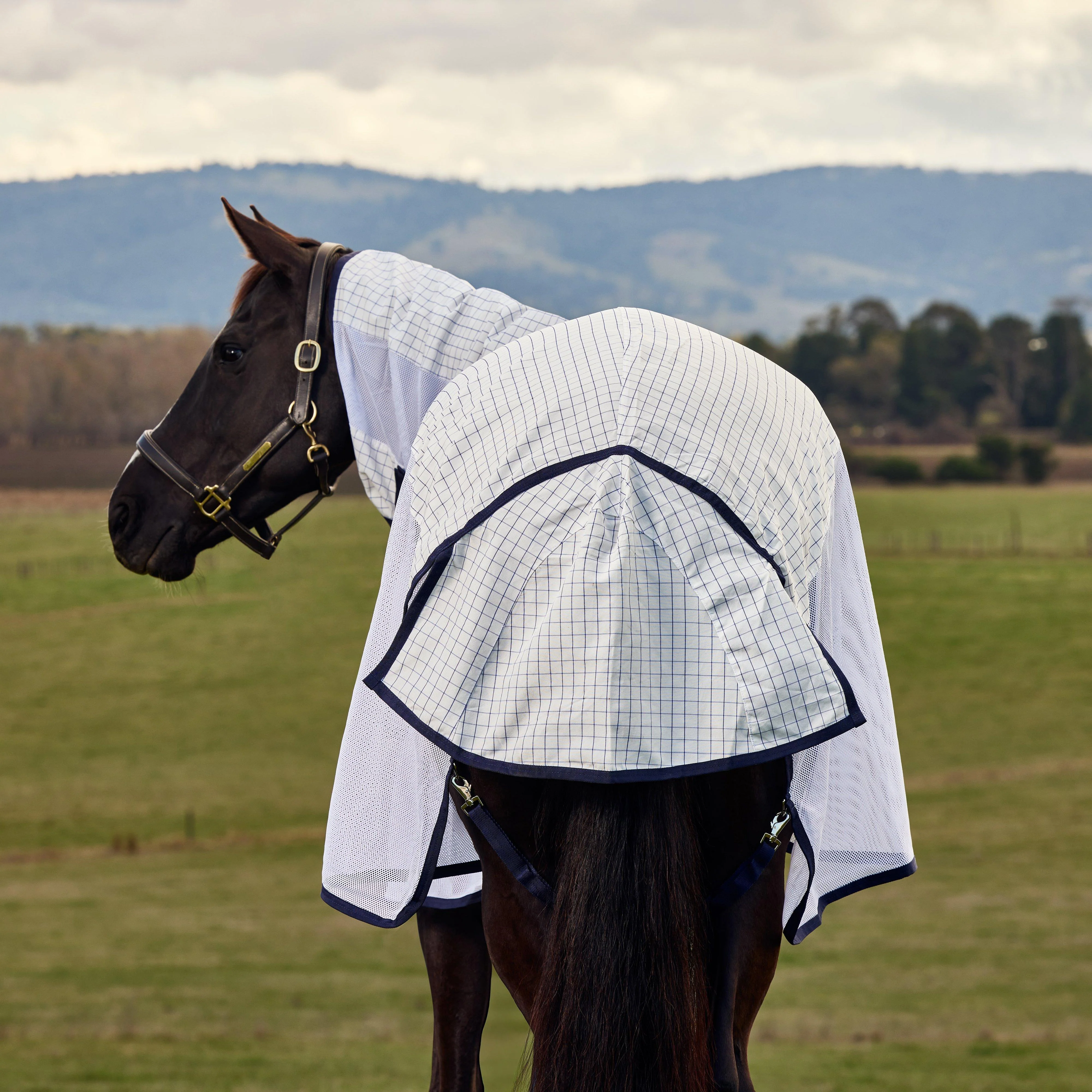 Airstream Combo Fly Sheet White/Navy - Image 7
