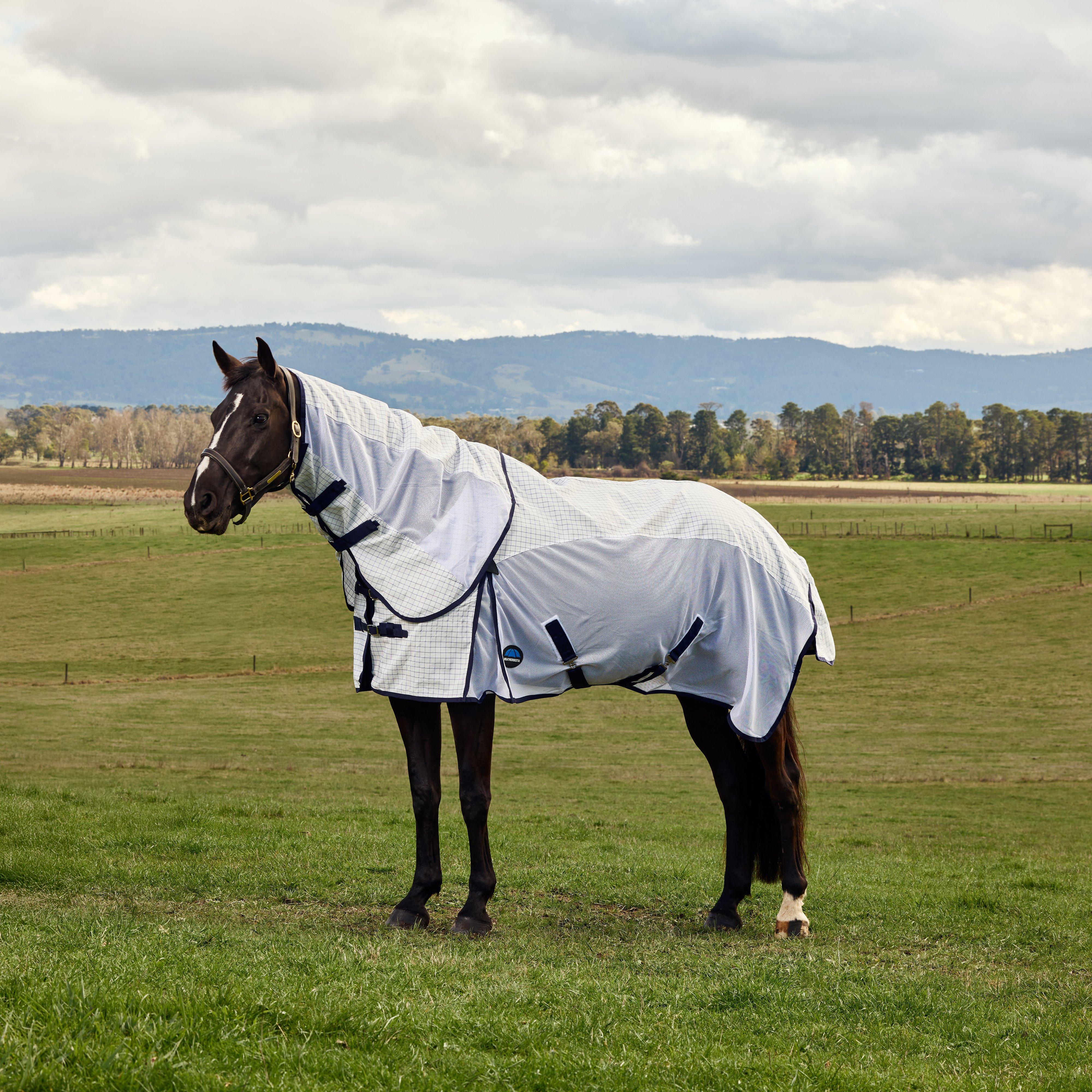 Airstream Combo Fly Sheet White/Navy - Image 8