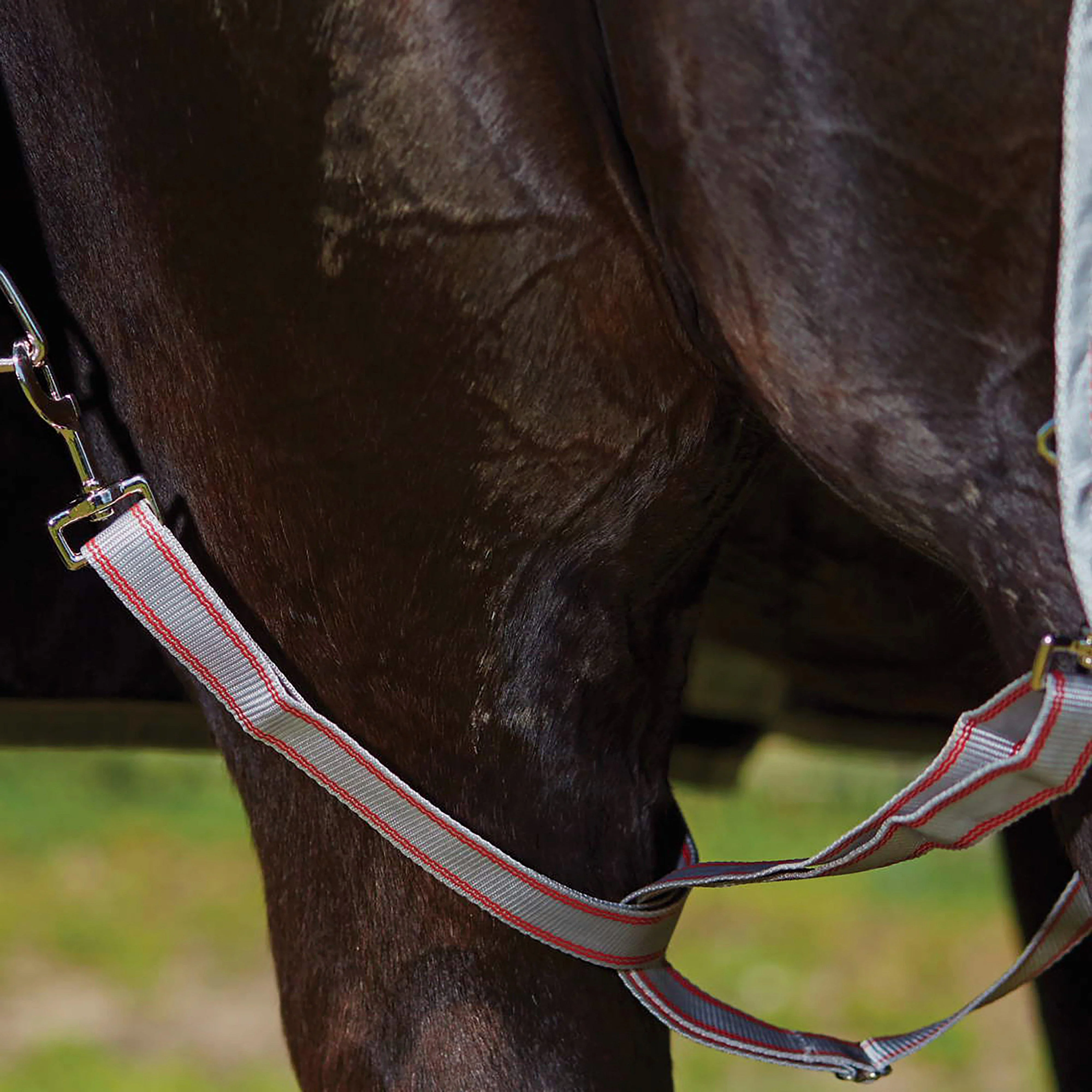 ComFiTec Classic Combo Rug Lite - Image 6