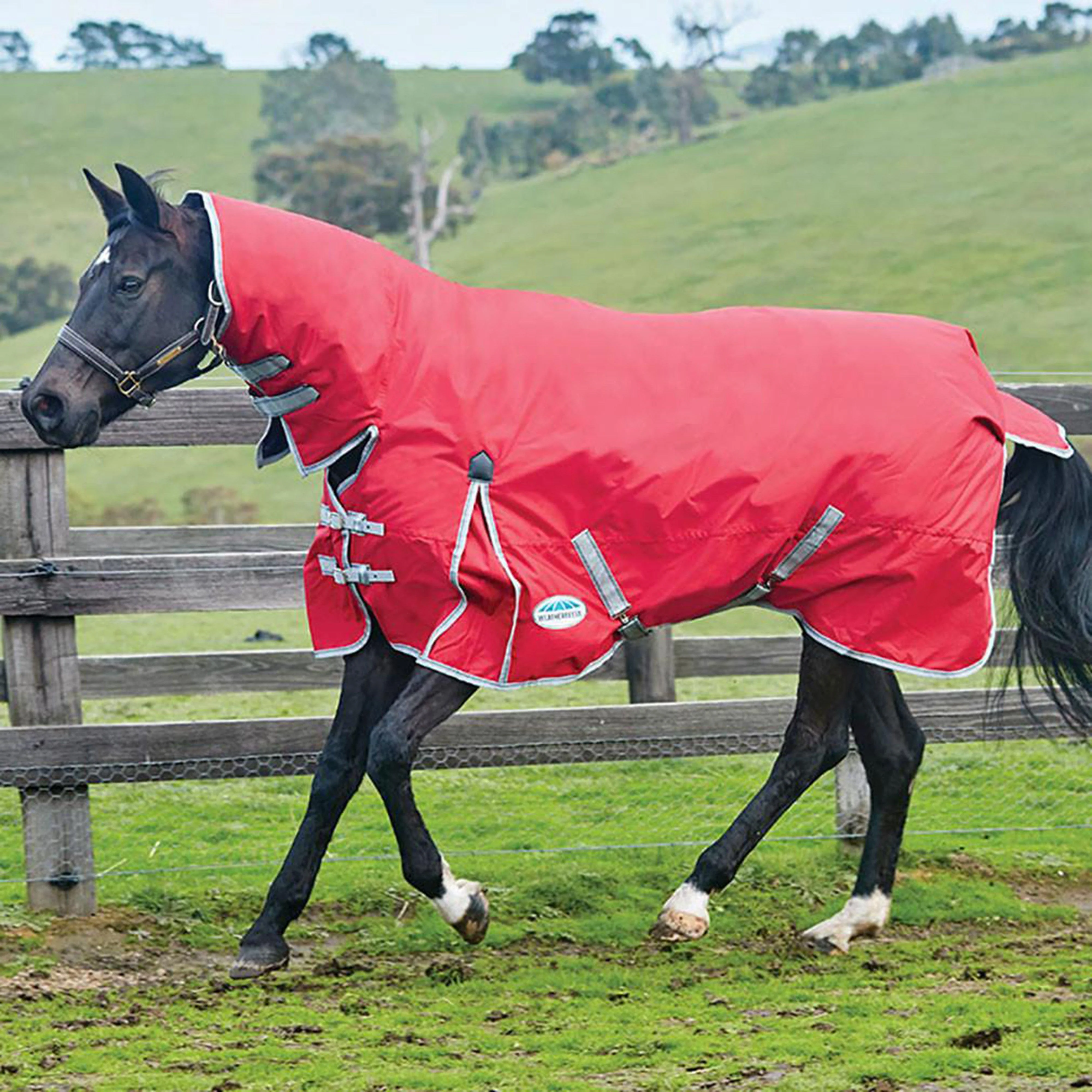 ComFiTec Classic Combo Rug Lite - Image 8