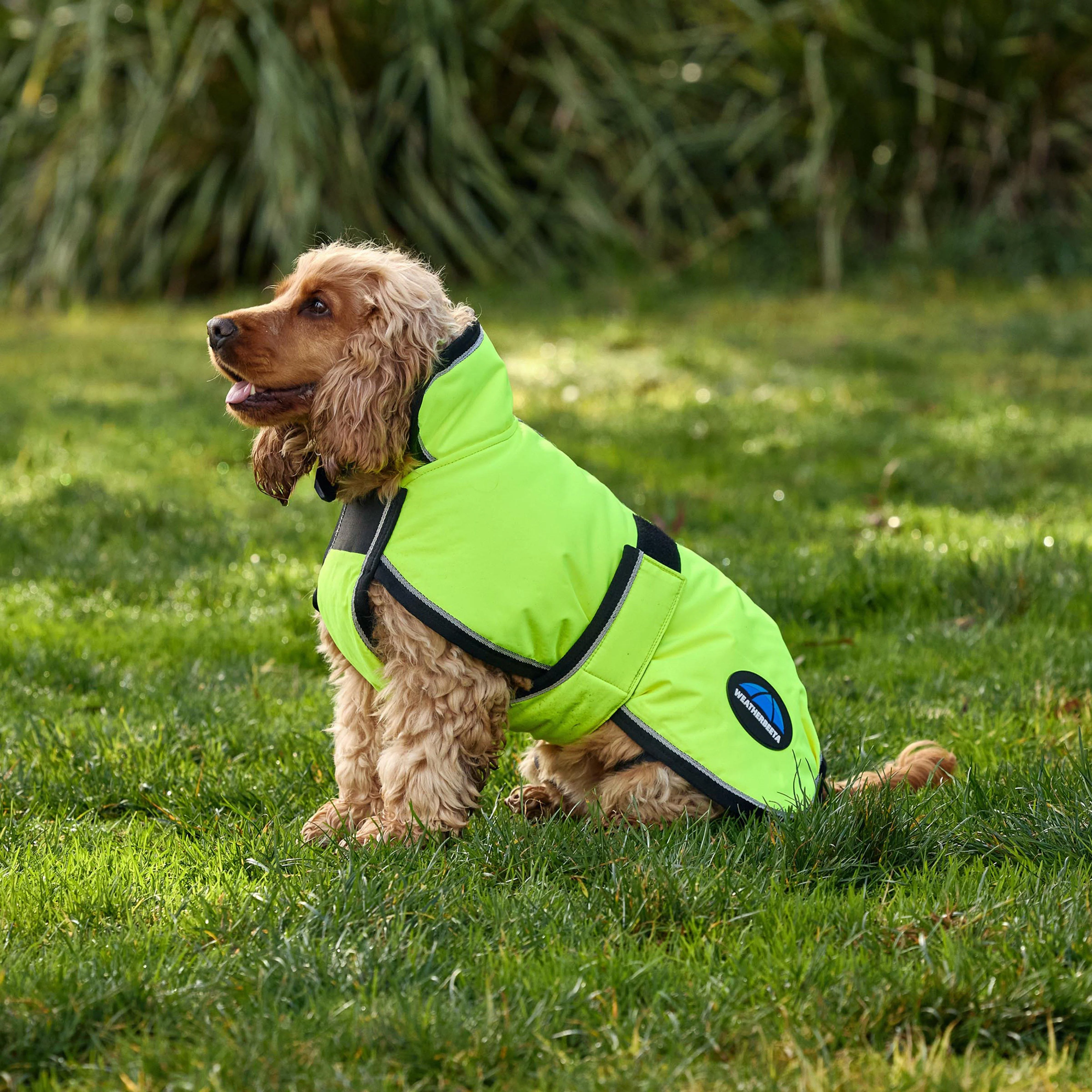 ComFiTec Classic Waterproof Dog Coat - Image 2