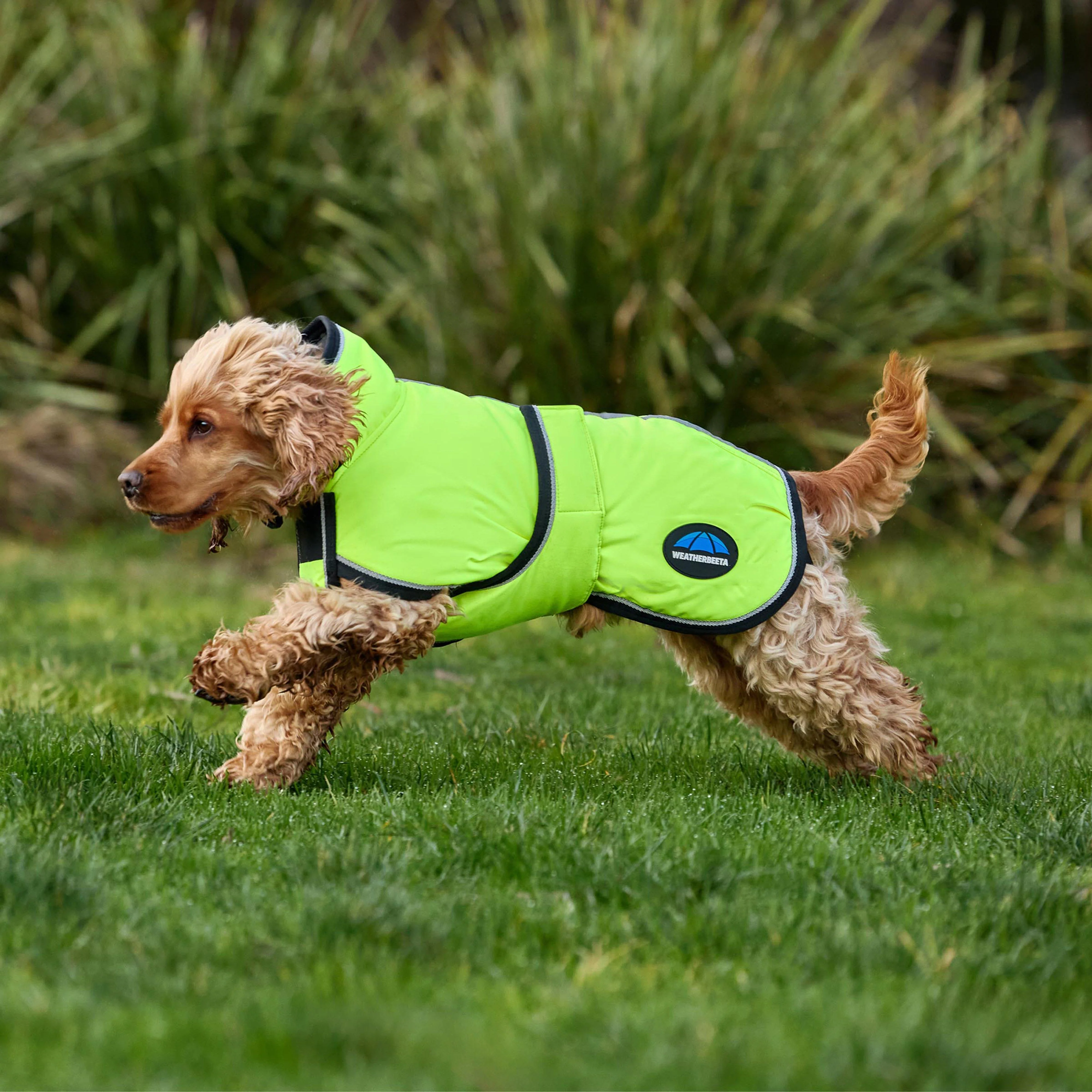 ComFiTec Classic Waterproof Dog Coat - Image 3
