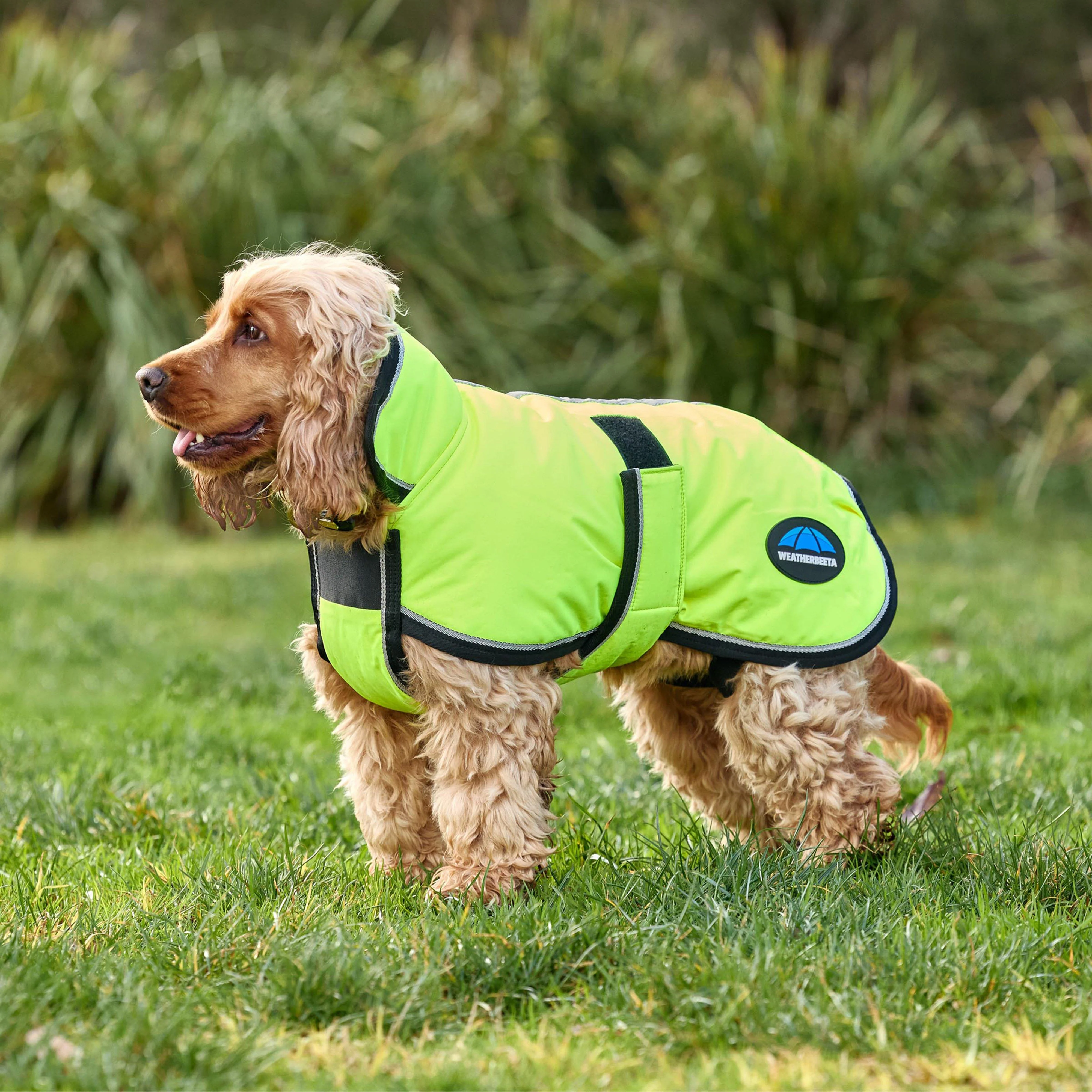 ComFiTec Classic Waterproof Dog Coat - Image 4