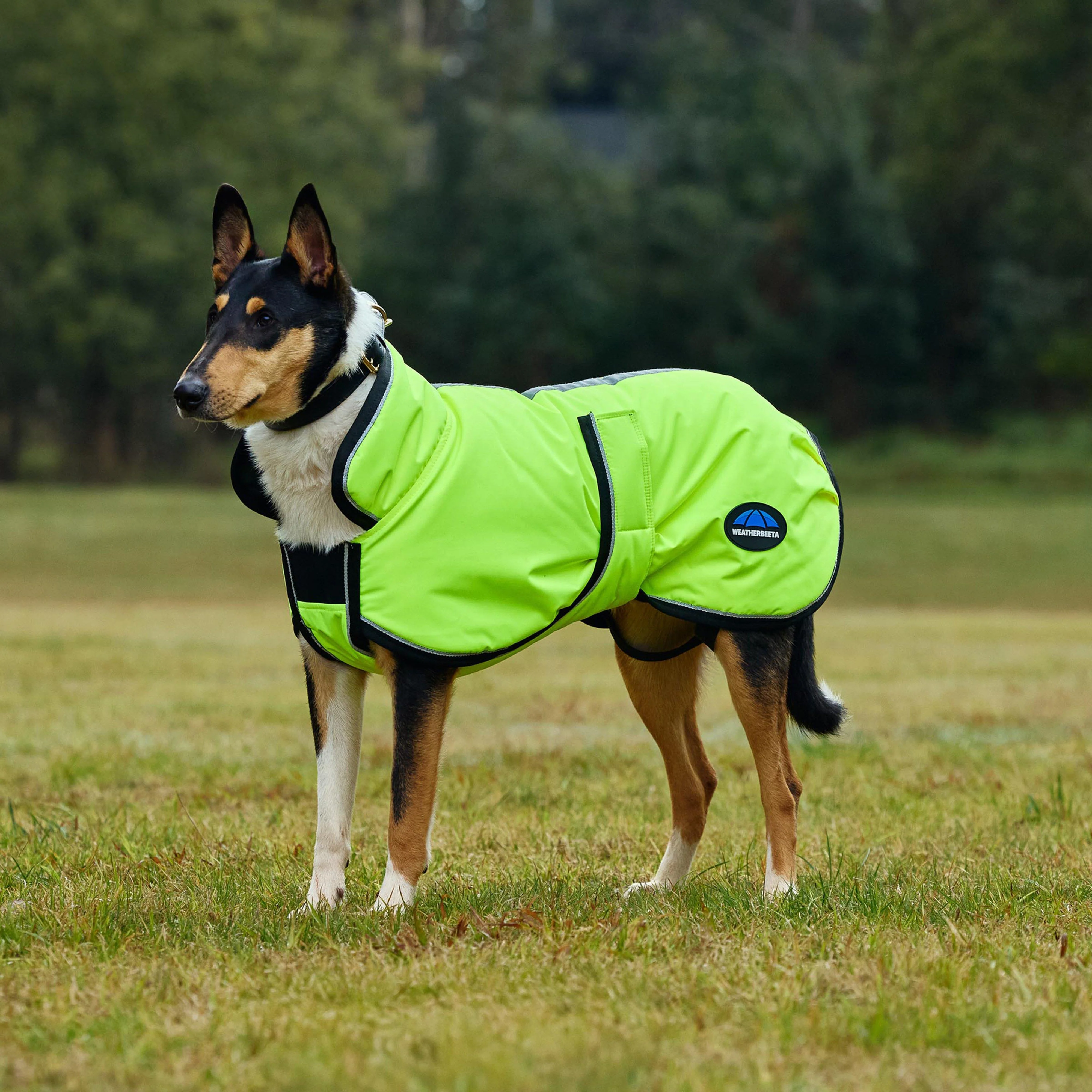 ComFiTec Classic Waterproof Dog Coat - Image 5