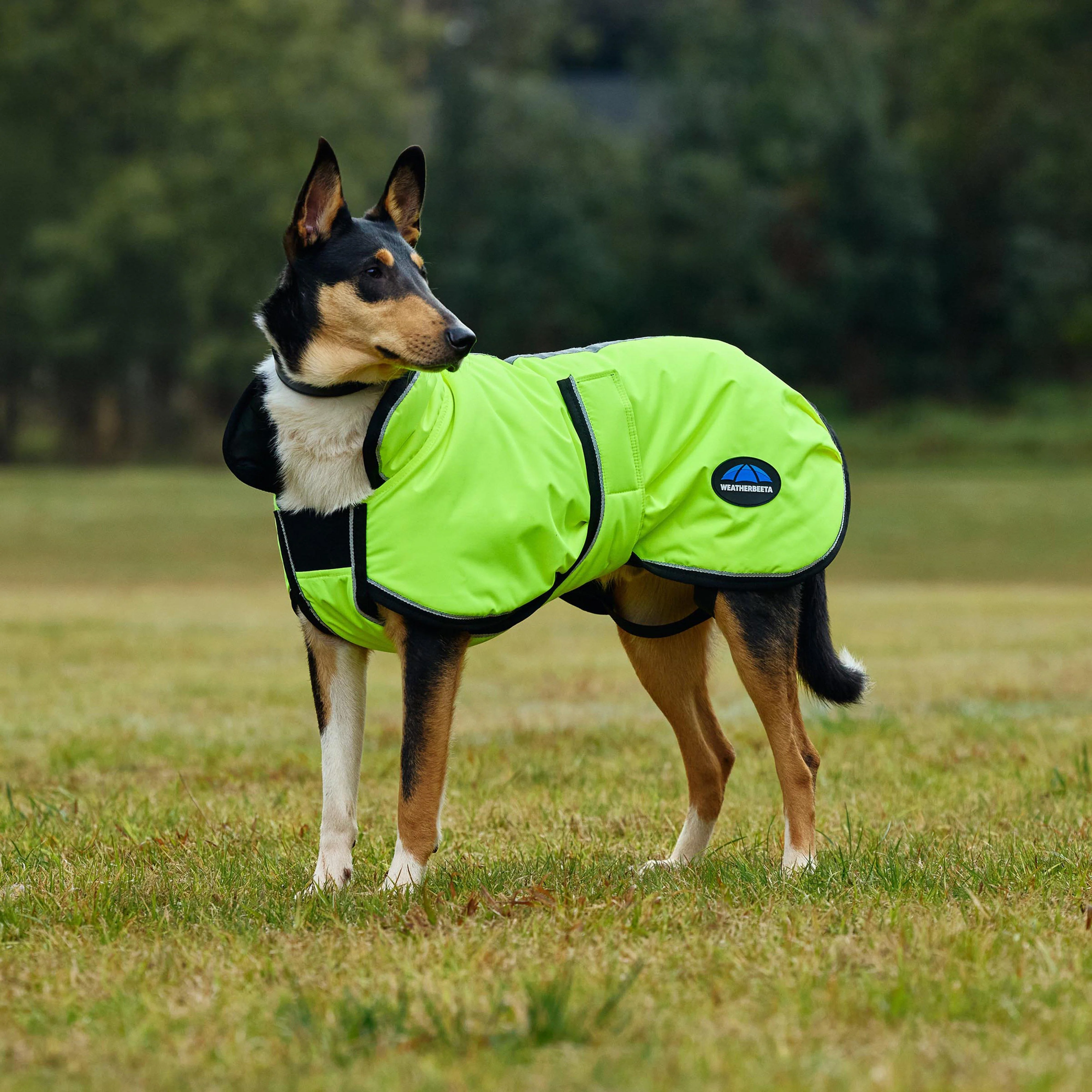 ComFiTec Classic Waterproof Dog Coat - Image 6