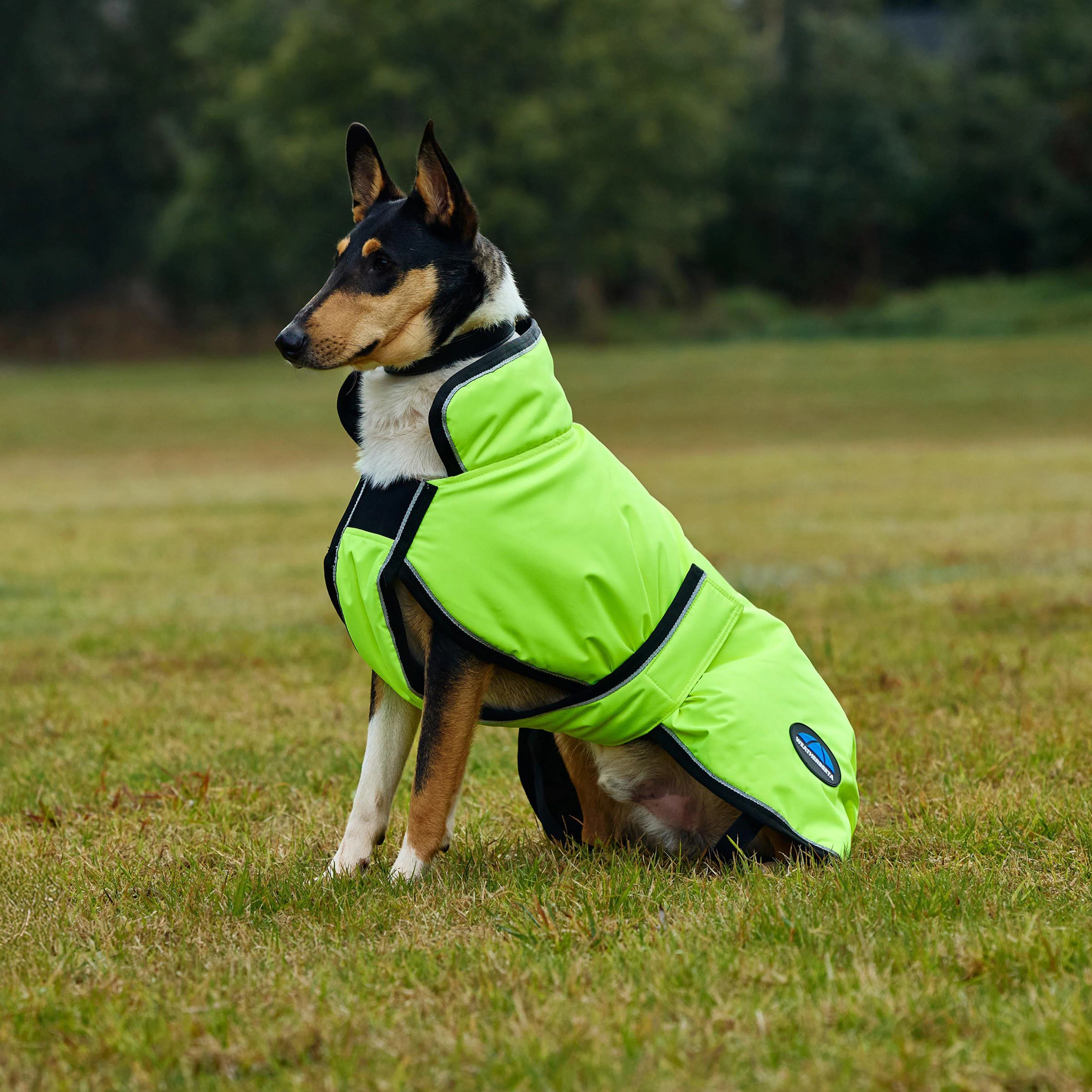 ComFiTec Classic Waterproof Dog Coat - Image 7