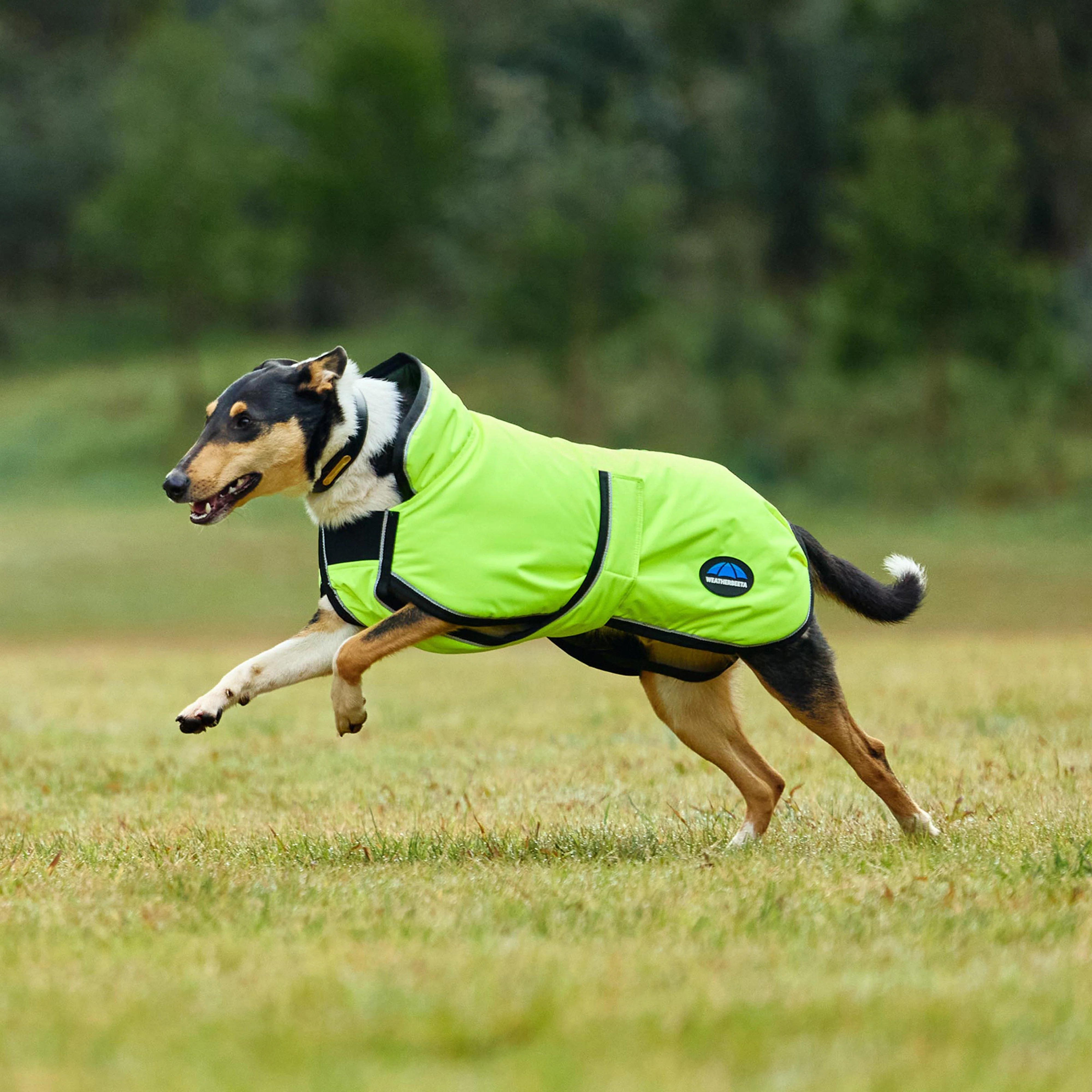 ComFiTec Classic Waterproof Dog Coat - Image 8