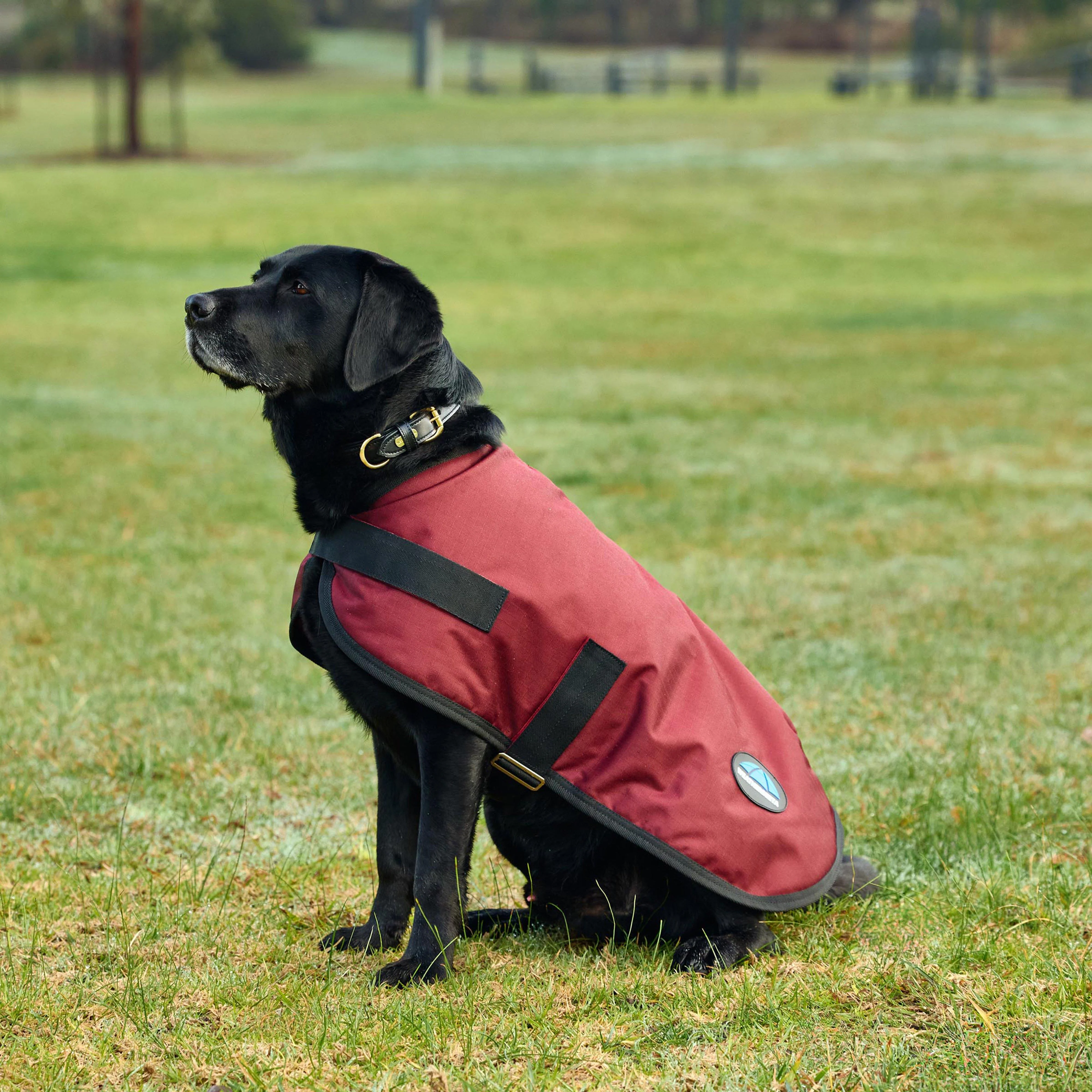 ComFiTec Classic Waterproof Dog Coat - Image 2