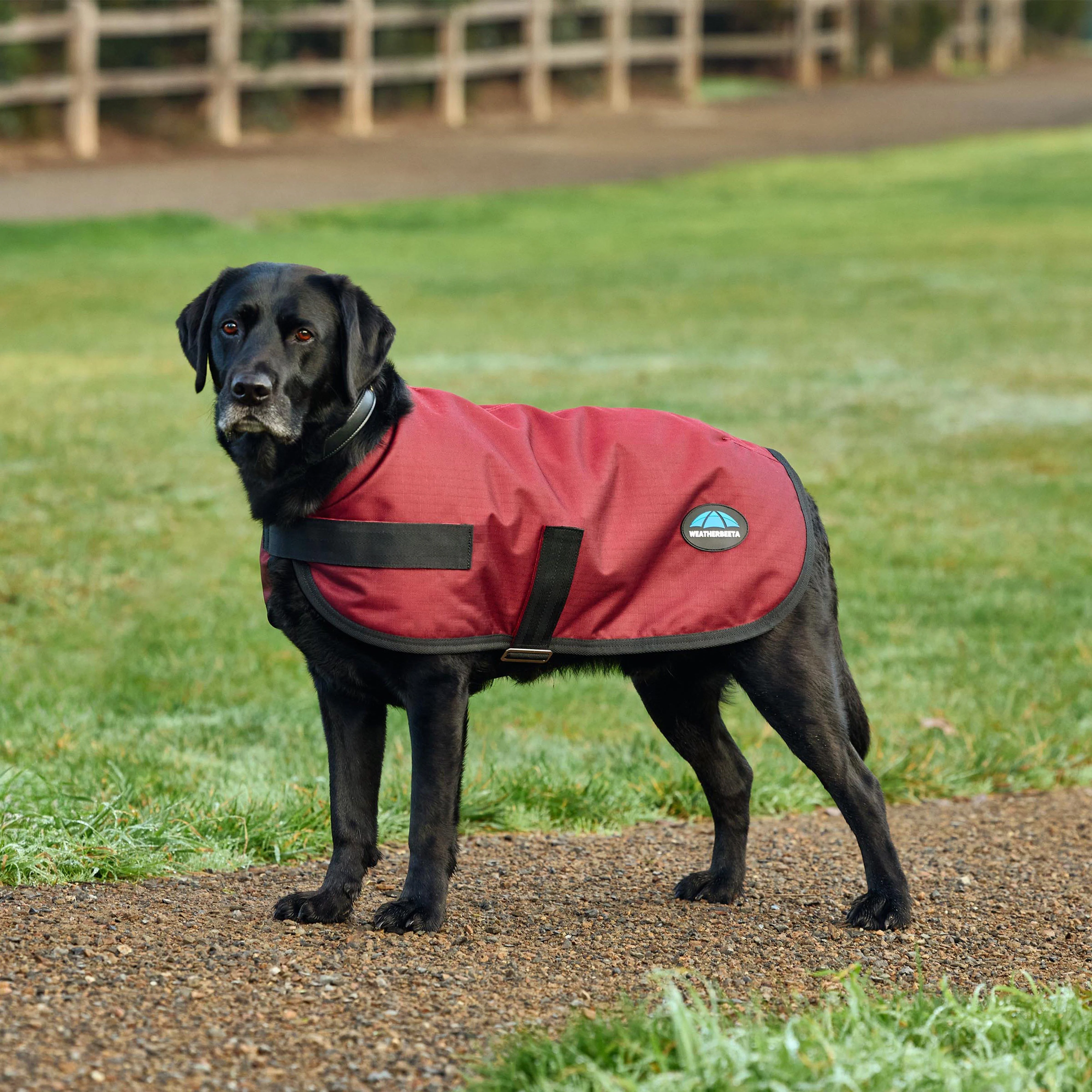ComFiTec Classic Waterproof Dog Coat - Image 3