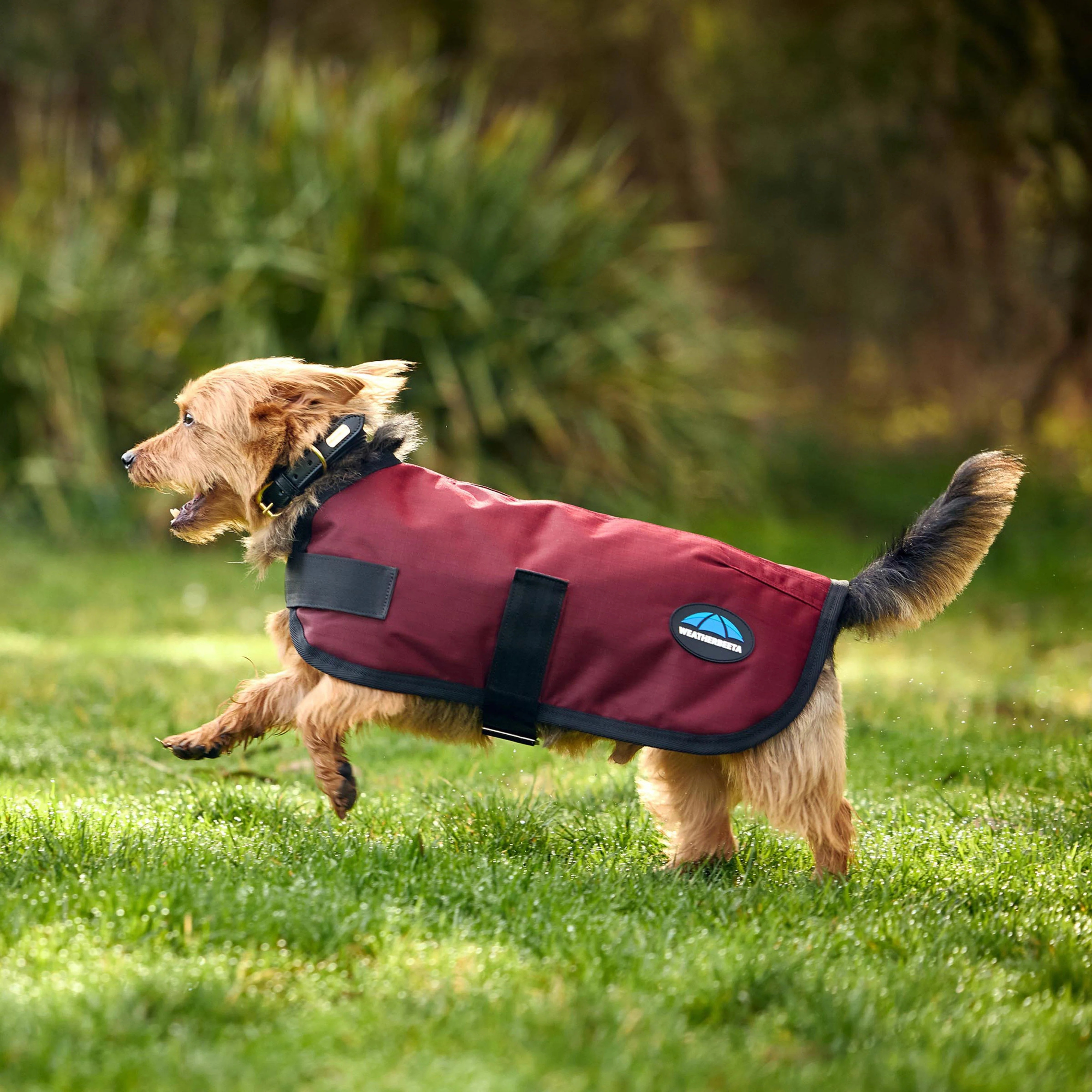 ComFiTec Classic Waterproof Dog Coat - Image 4