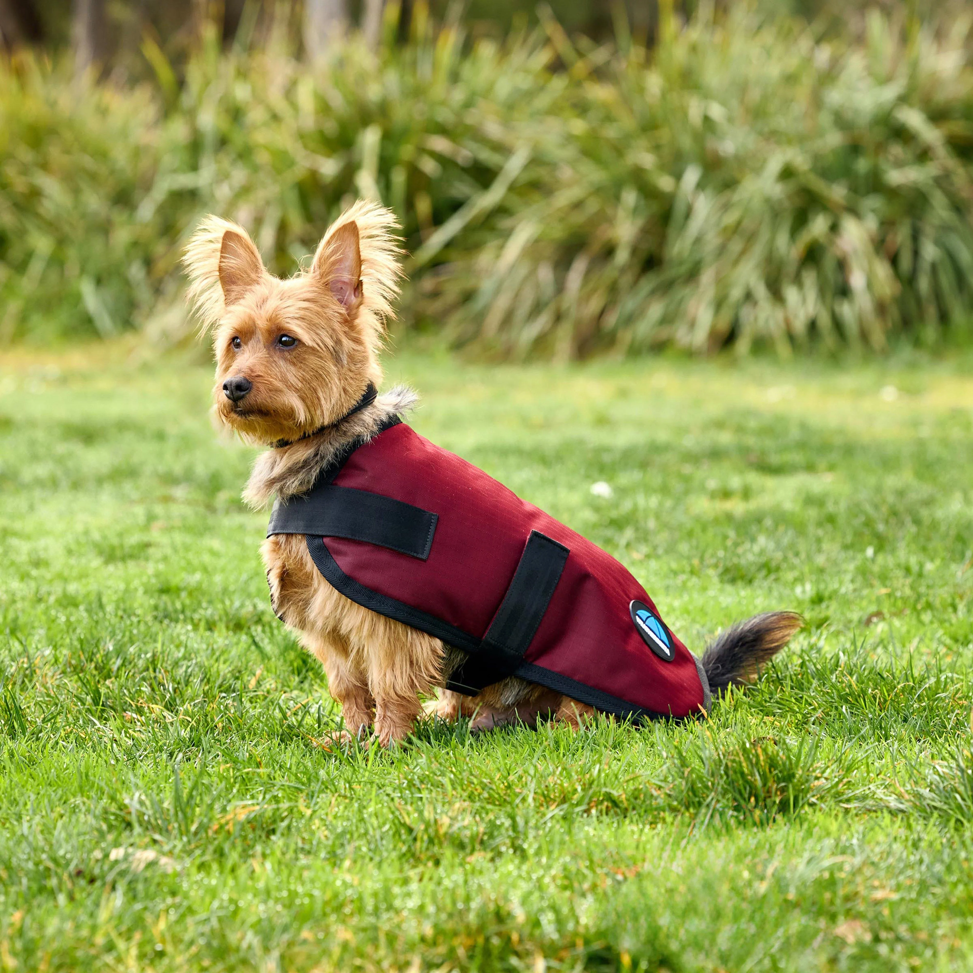 ComFiTec Classic Waterproof Dog Coat - Image 5