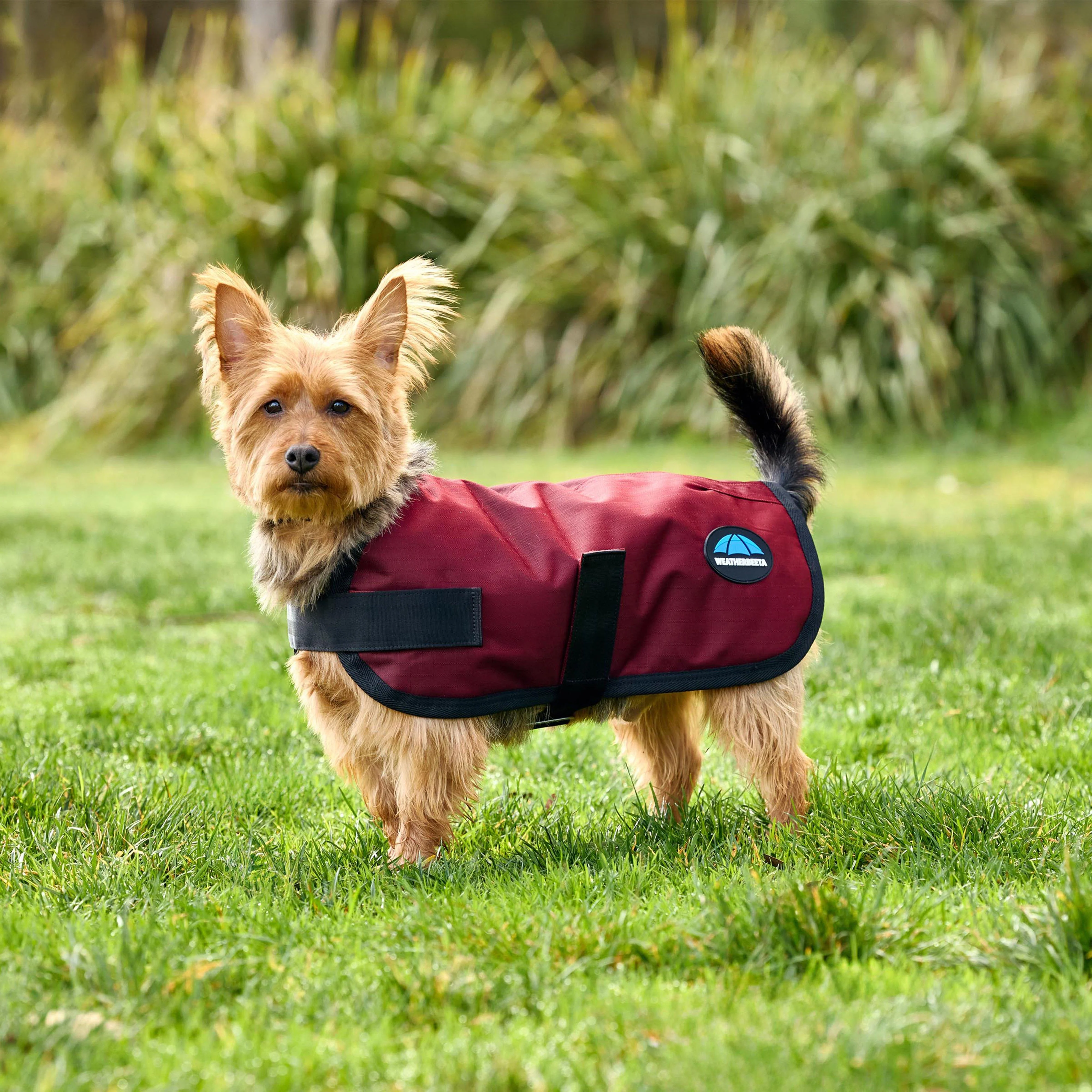 ComFiTec Classic Waterproof Dog Coat - Image 6