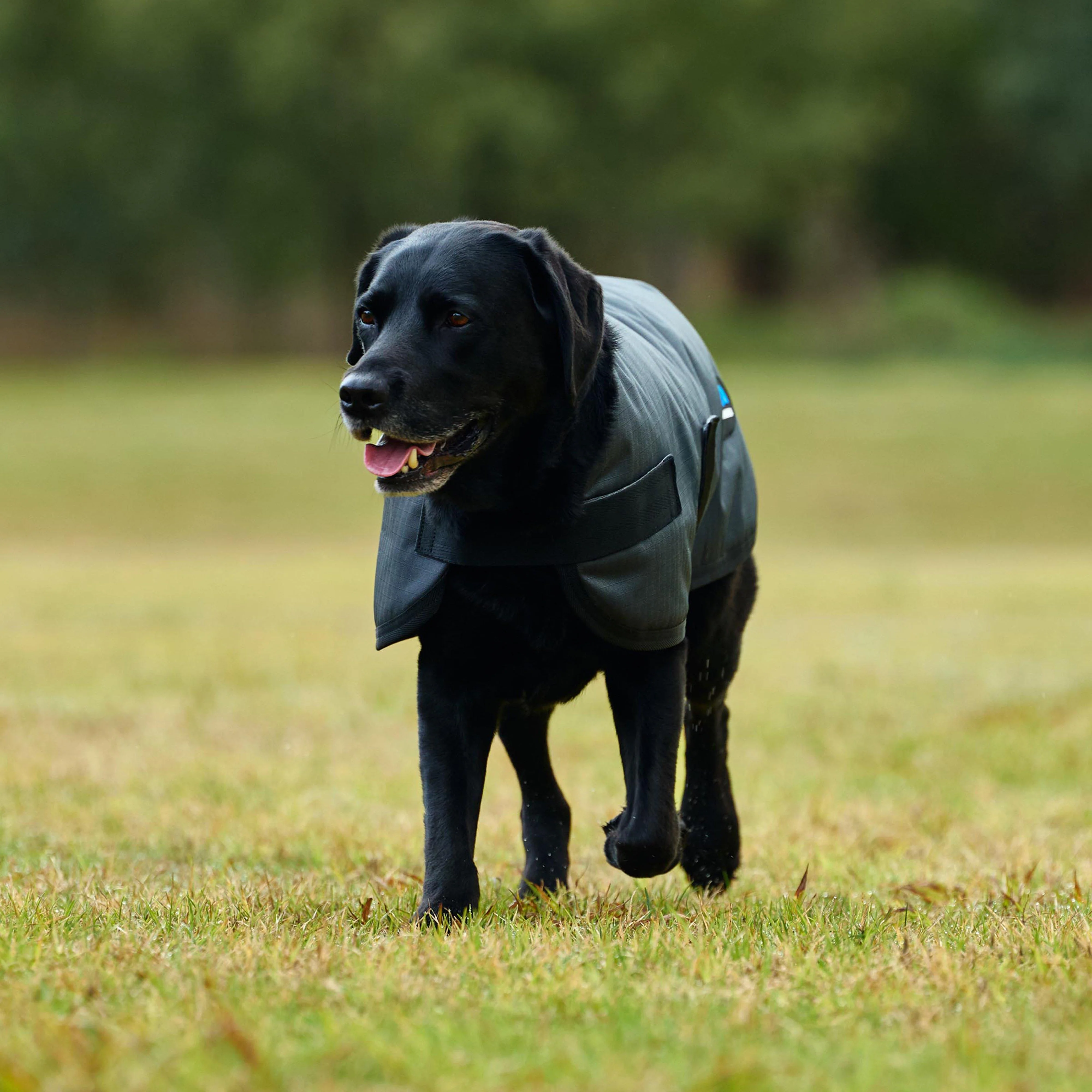 ComFiTec Classic Waterproof Dog Coat - Image 2