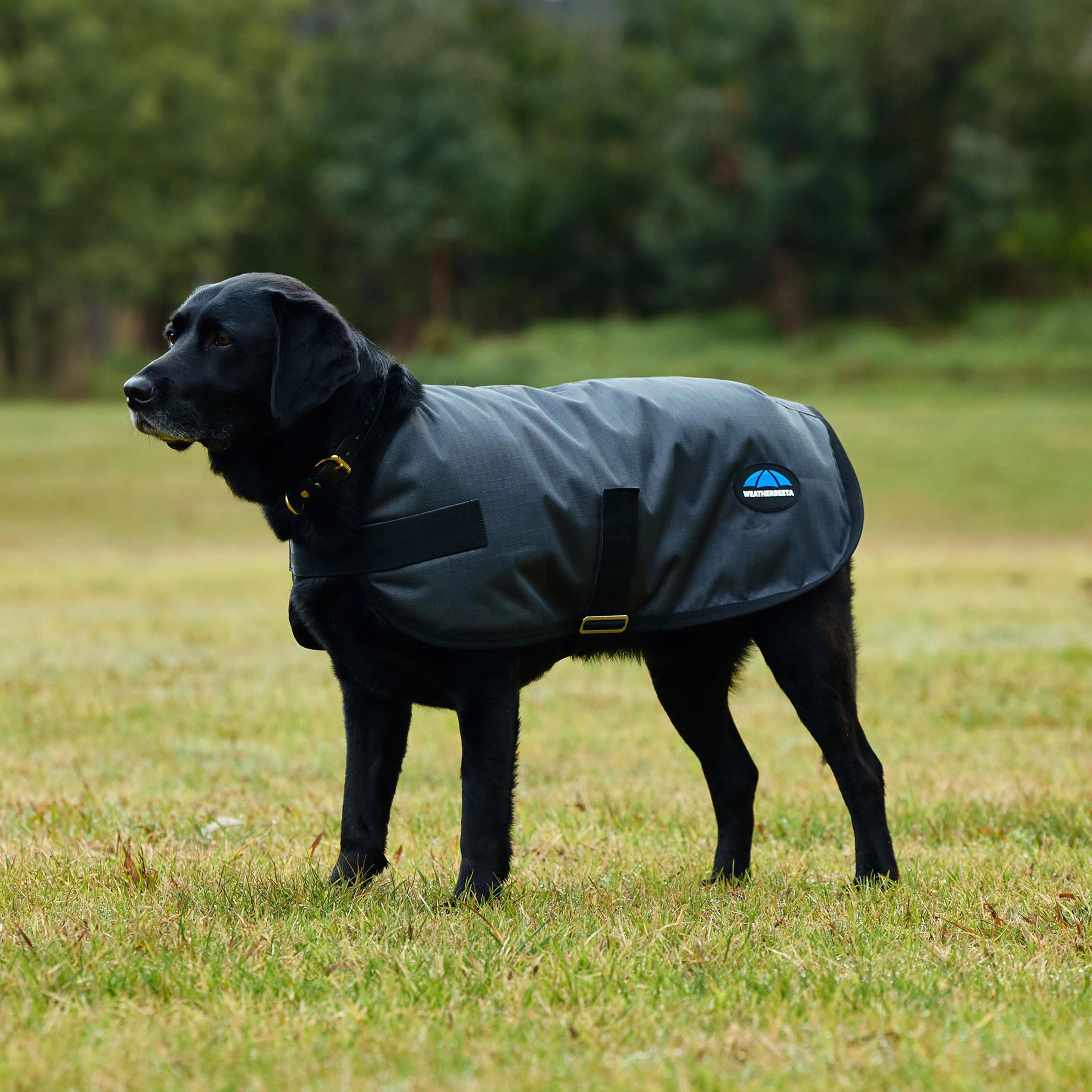 ComFiTec Classic Waterproof Dog Coat - Image 3