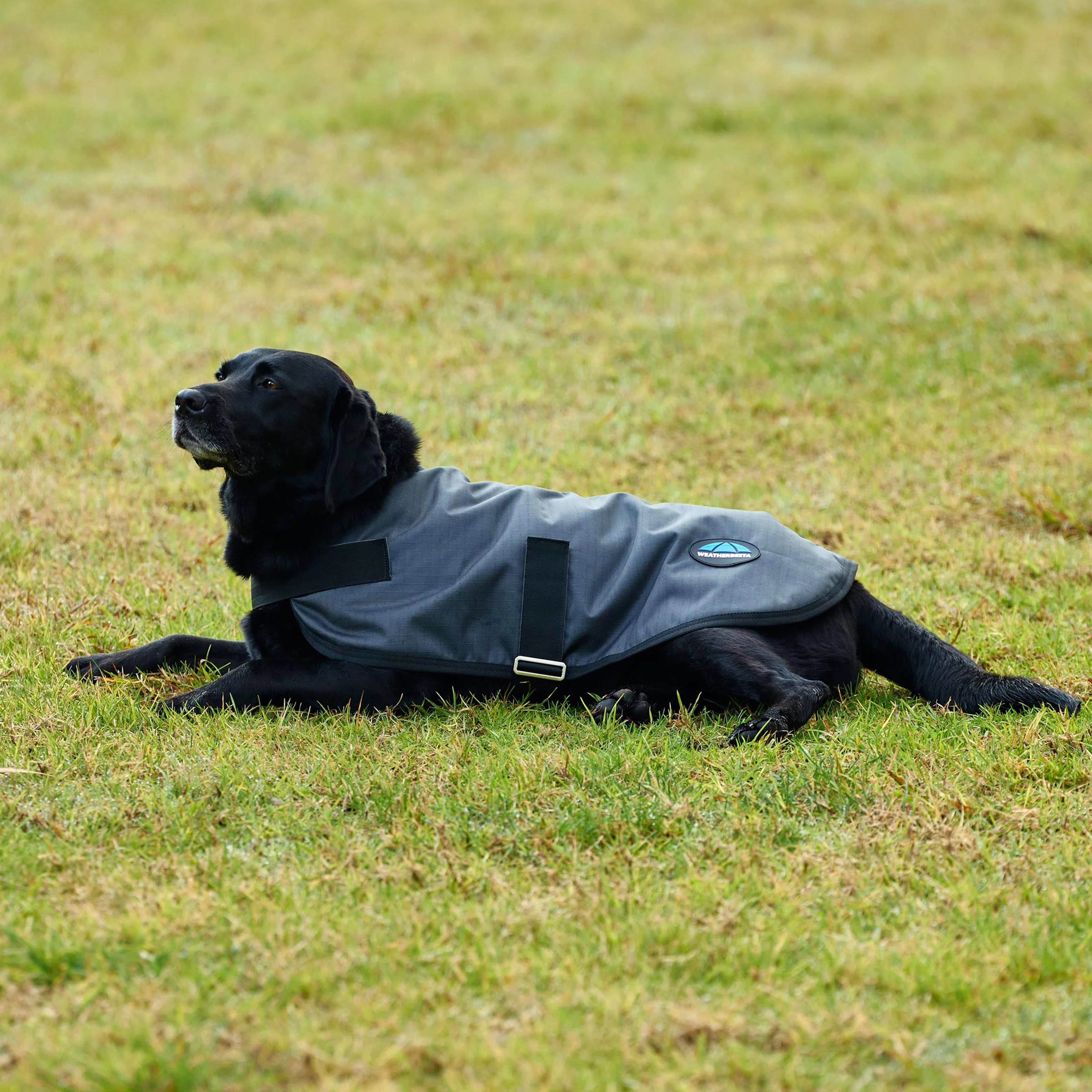 ComFiTec Classic Waterproof Dog Coat - Image 6