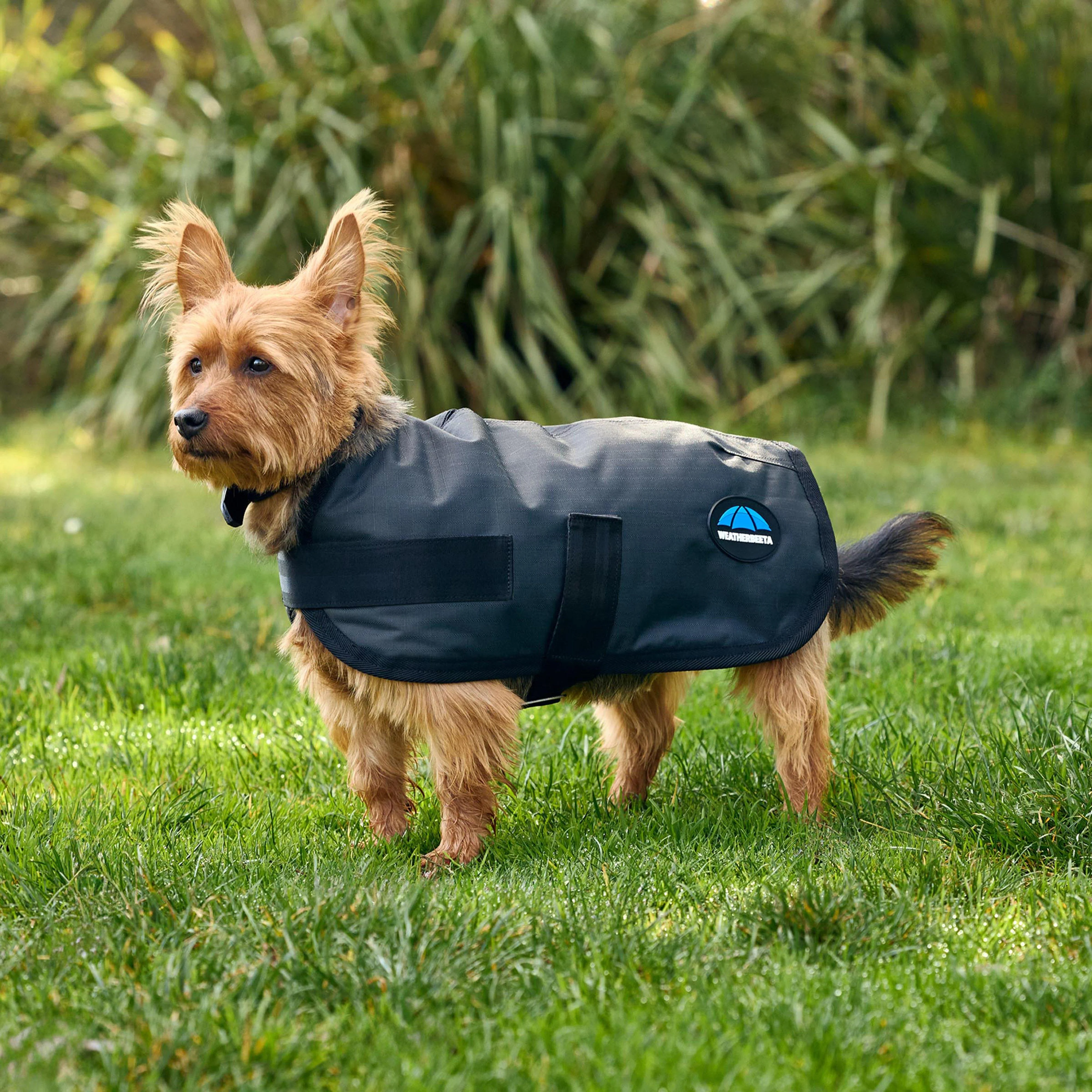 ComFiTec Classic Waterproof Dog Coat - Image 8