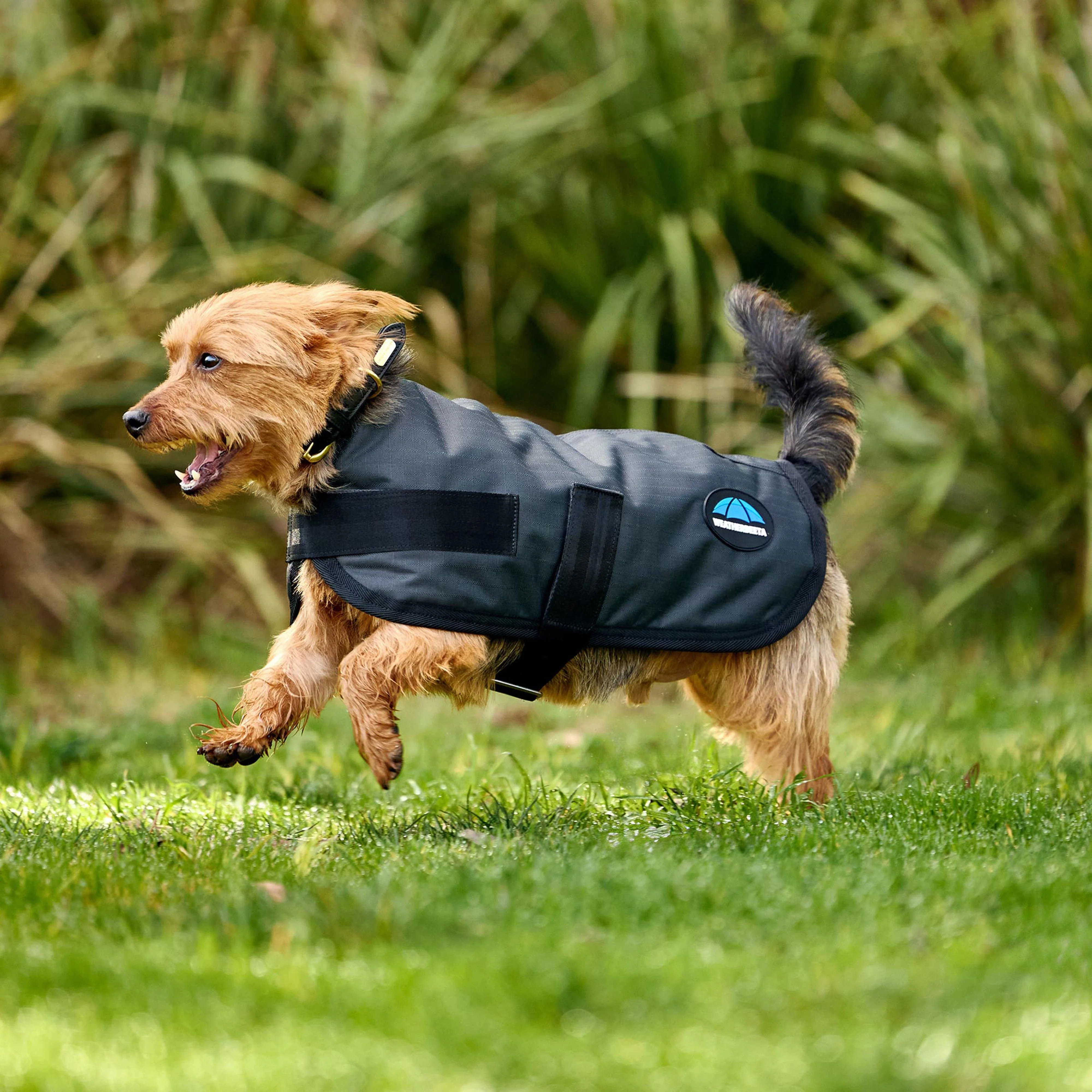 ComFiTec Classic Waterproof Dog Coat - Image 9