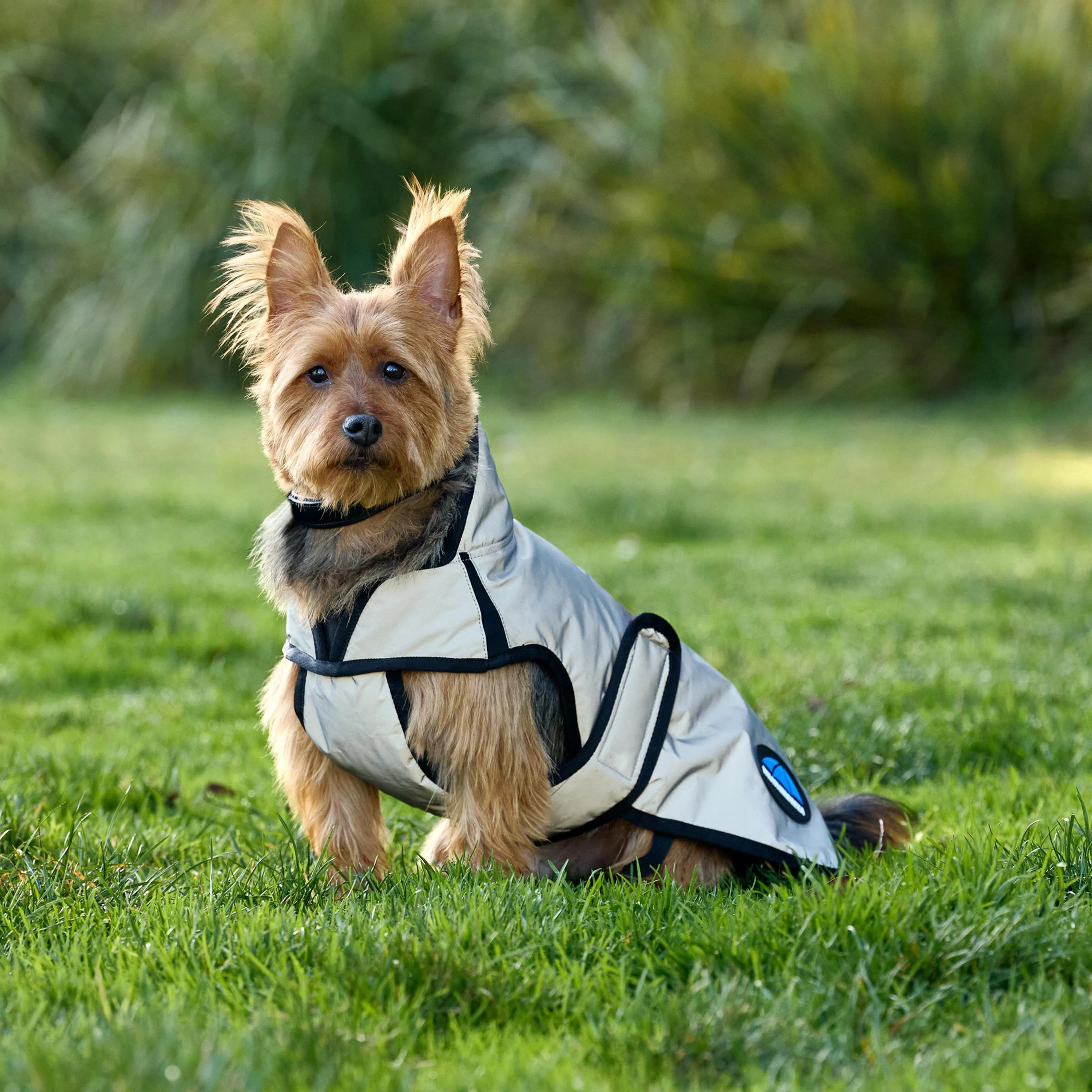 ComFiTec Classic Waterproof Dog Coat - Image 3