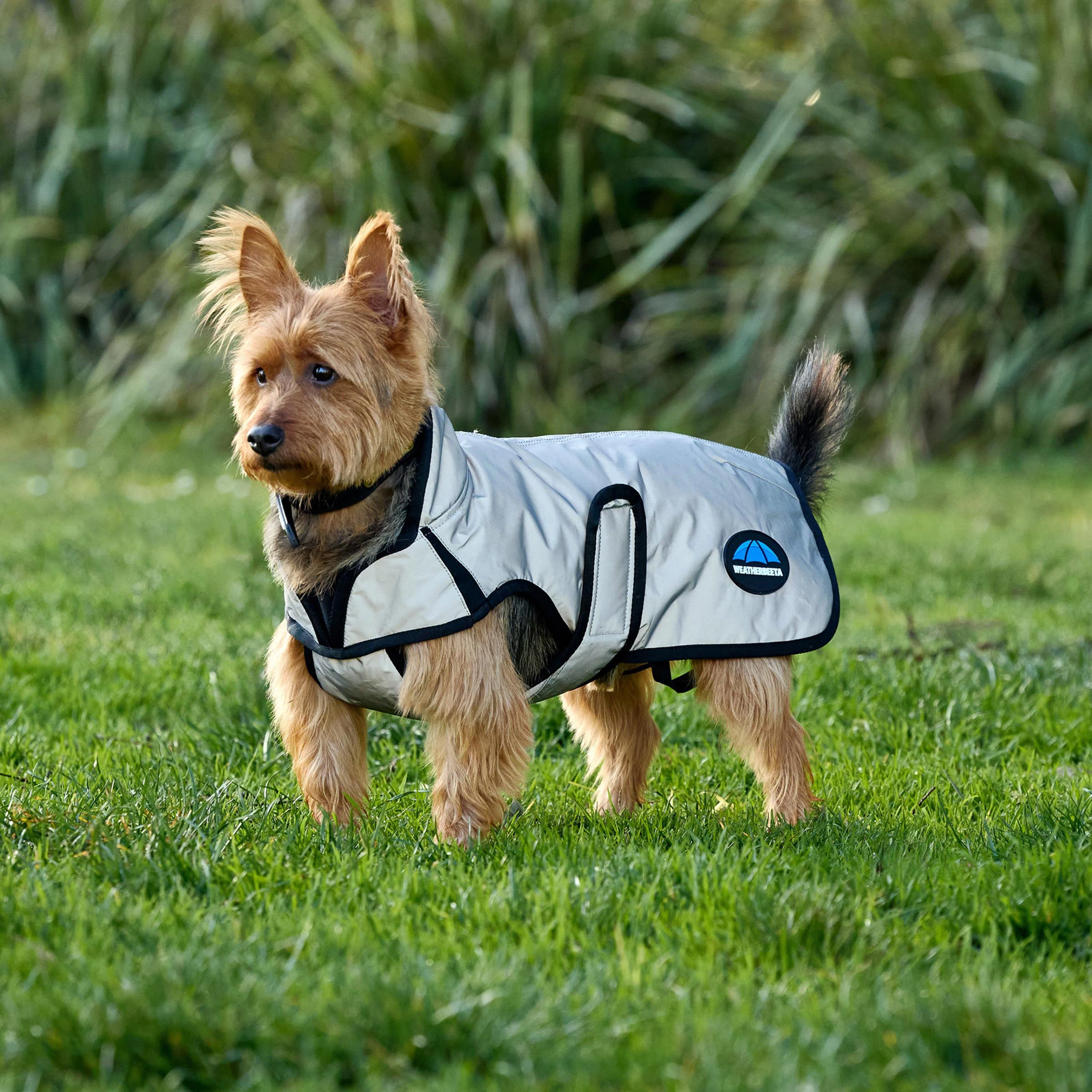 ComFiTec Classic Waterproof Dog Coat - Image 5