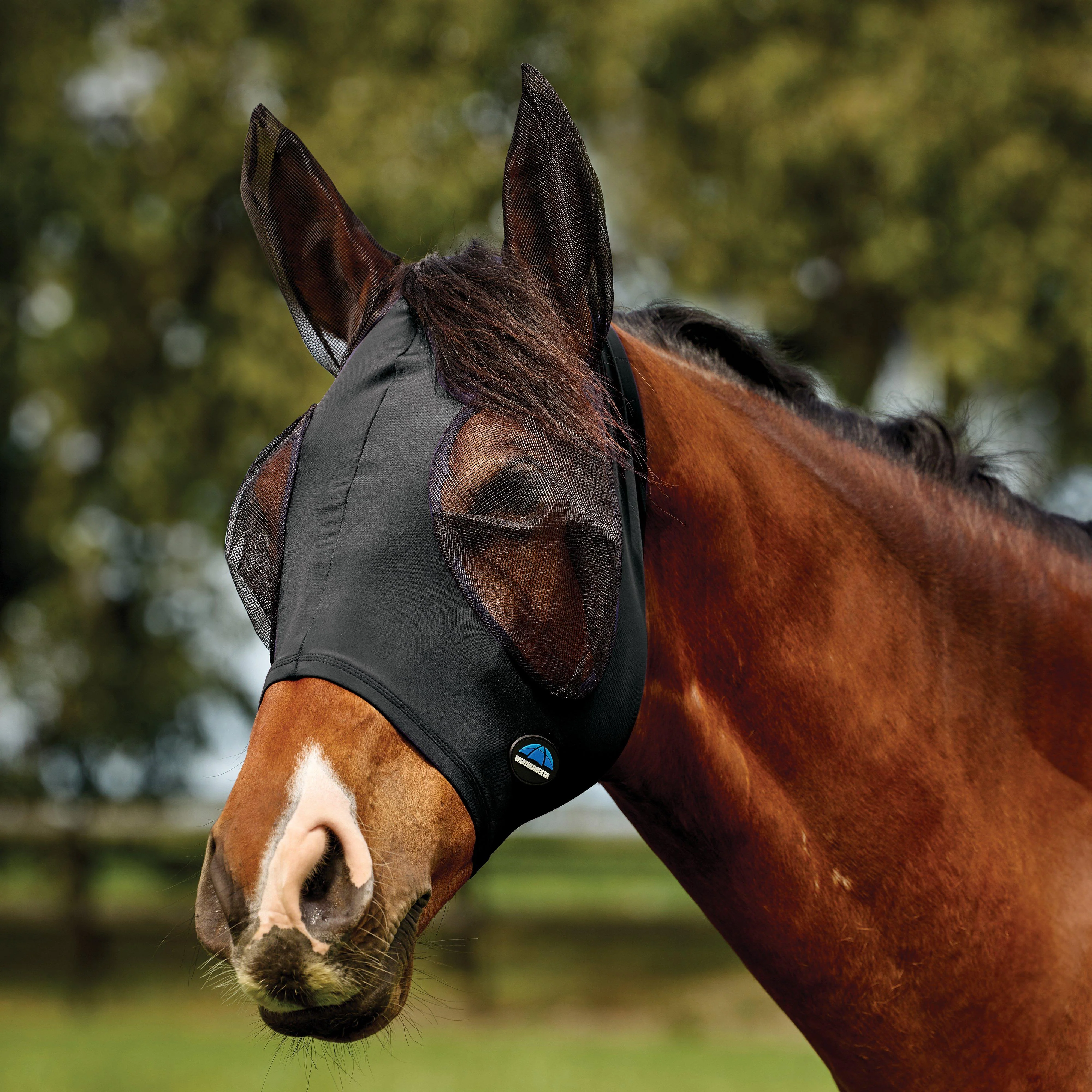 ComFiTec Deluxe Stretch Fly Mask with Ears Black - Image 4