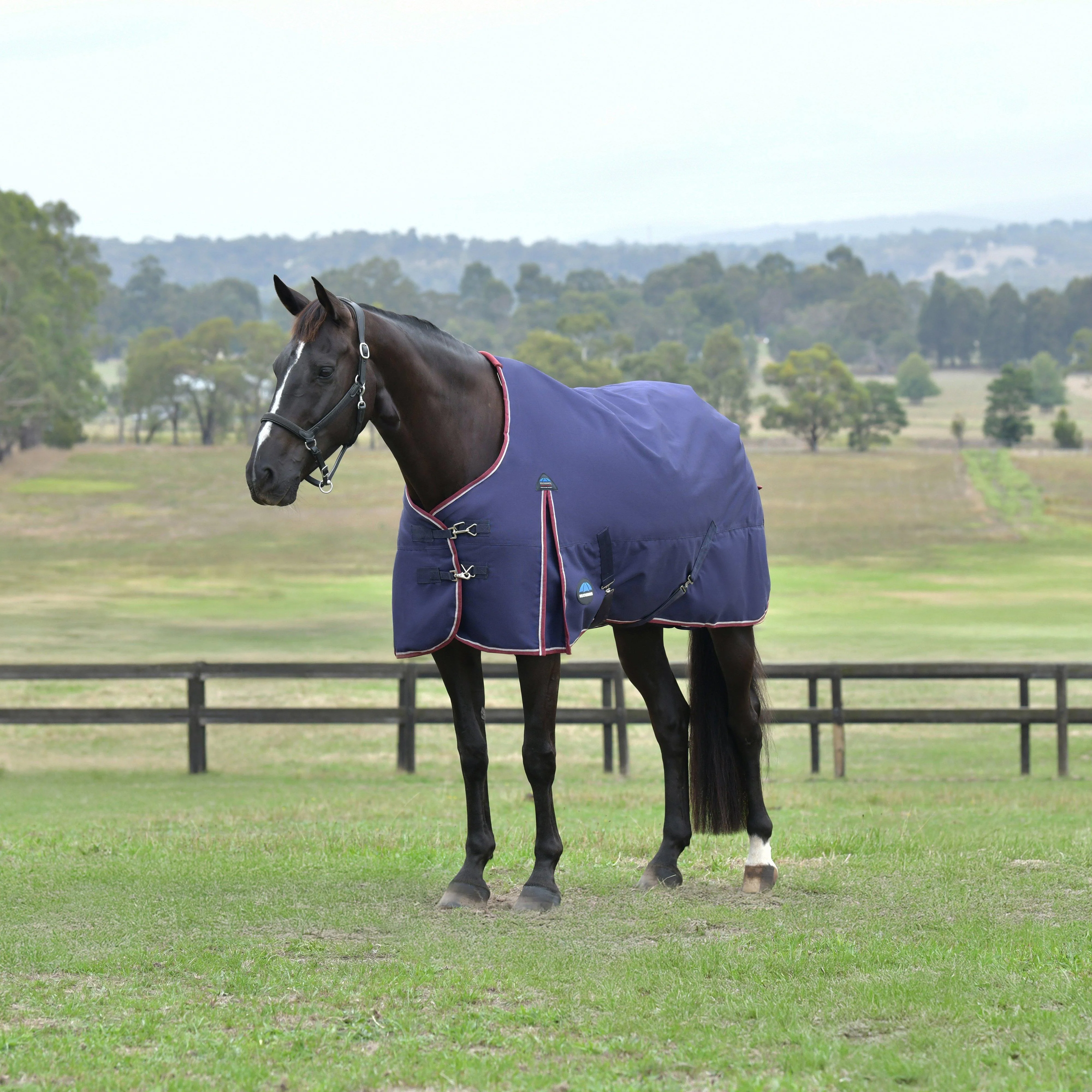ComFiTec Essential 0G Standard Neck Turnout Rug Navy - Image 10