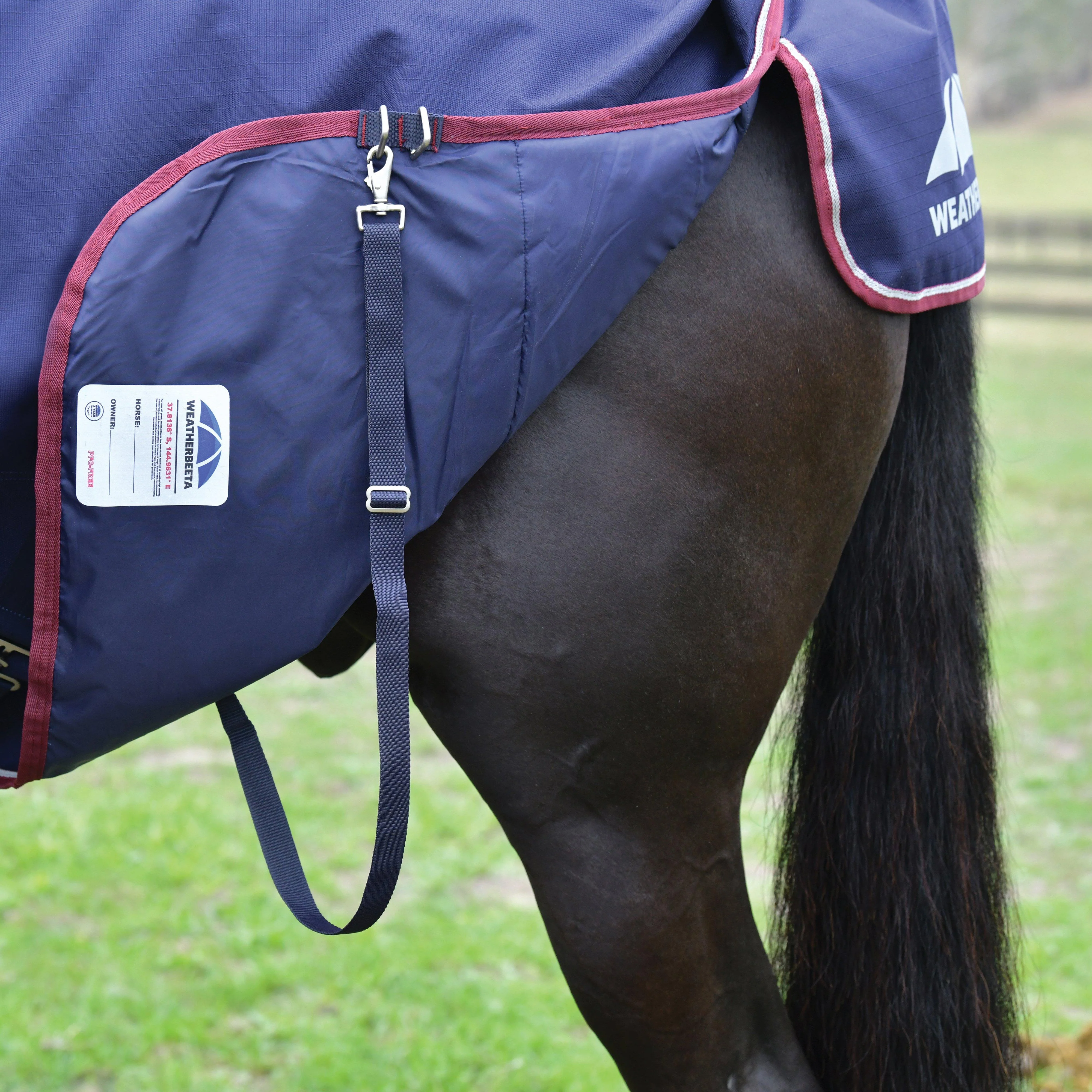 ComFiTec Essential 0G Standard Neck Turnout Rug Navy - Image 5