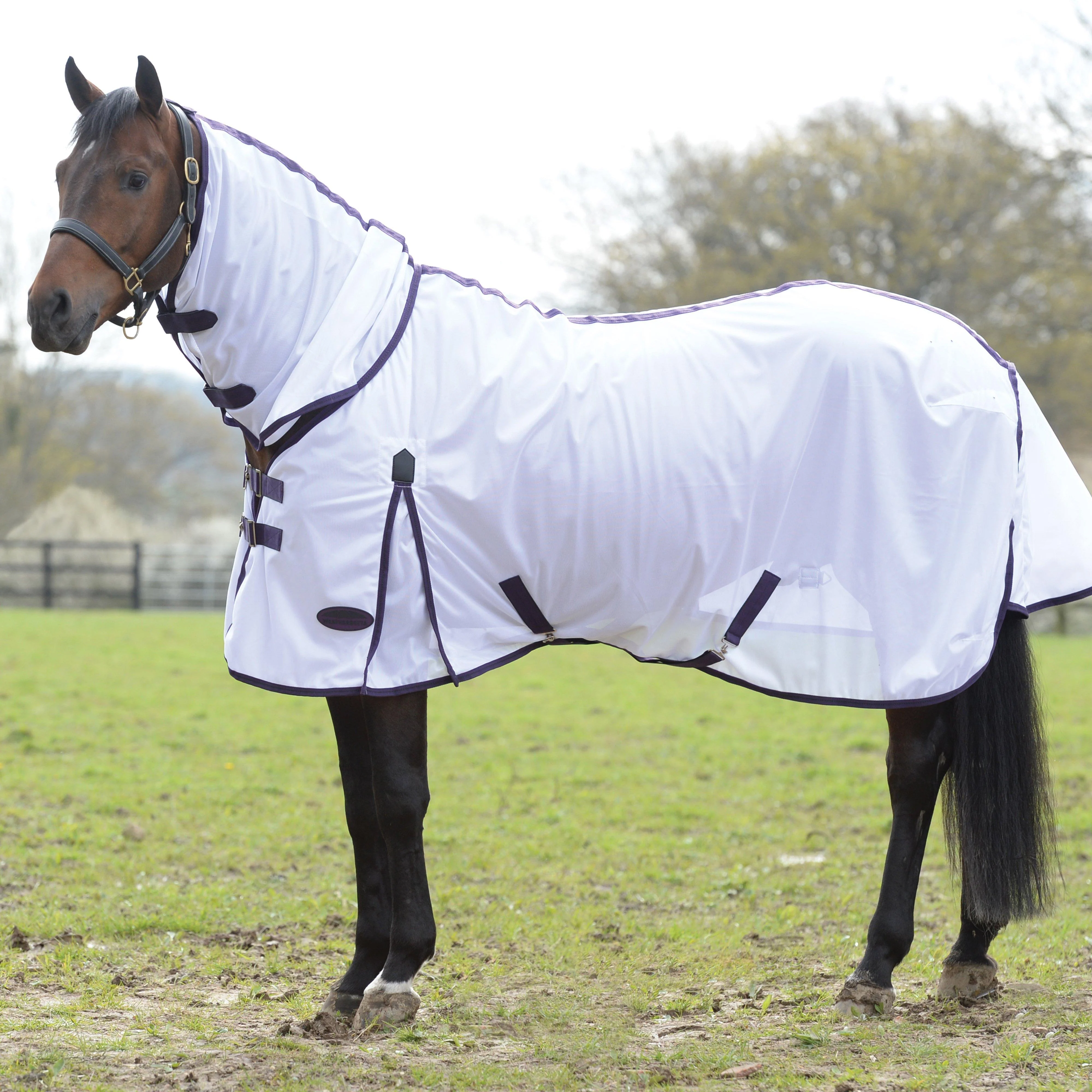 ComFiTec Essential Mesh Combo Neck Rug - Image 2