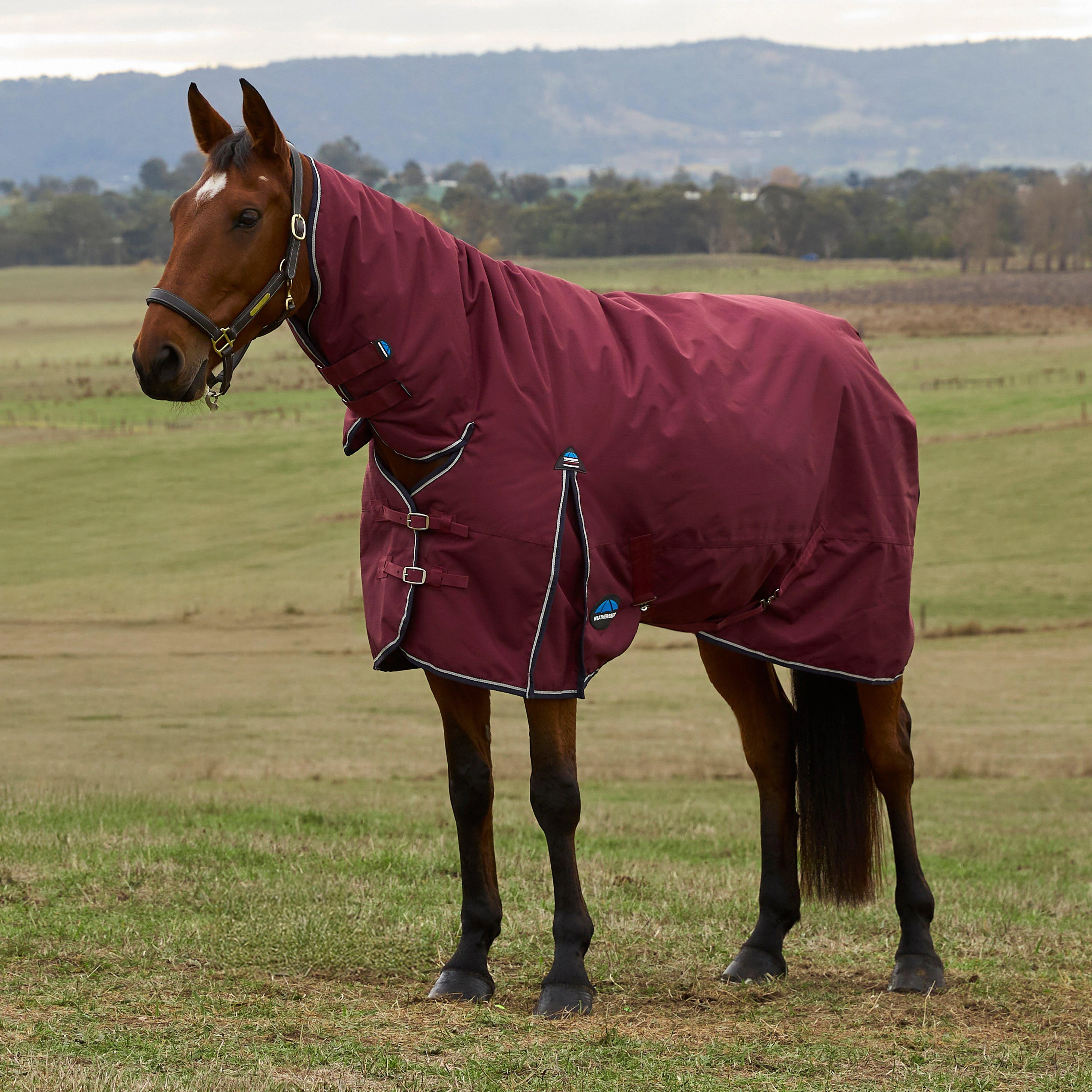 ComFiTec Prelim 0G Combo Neck Turnout Rug Burgundy - Image 2