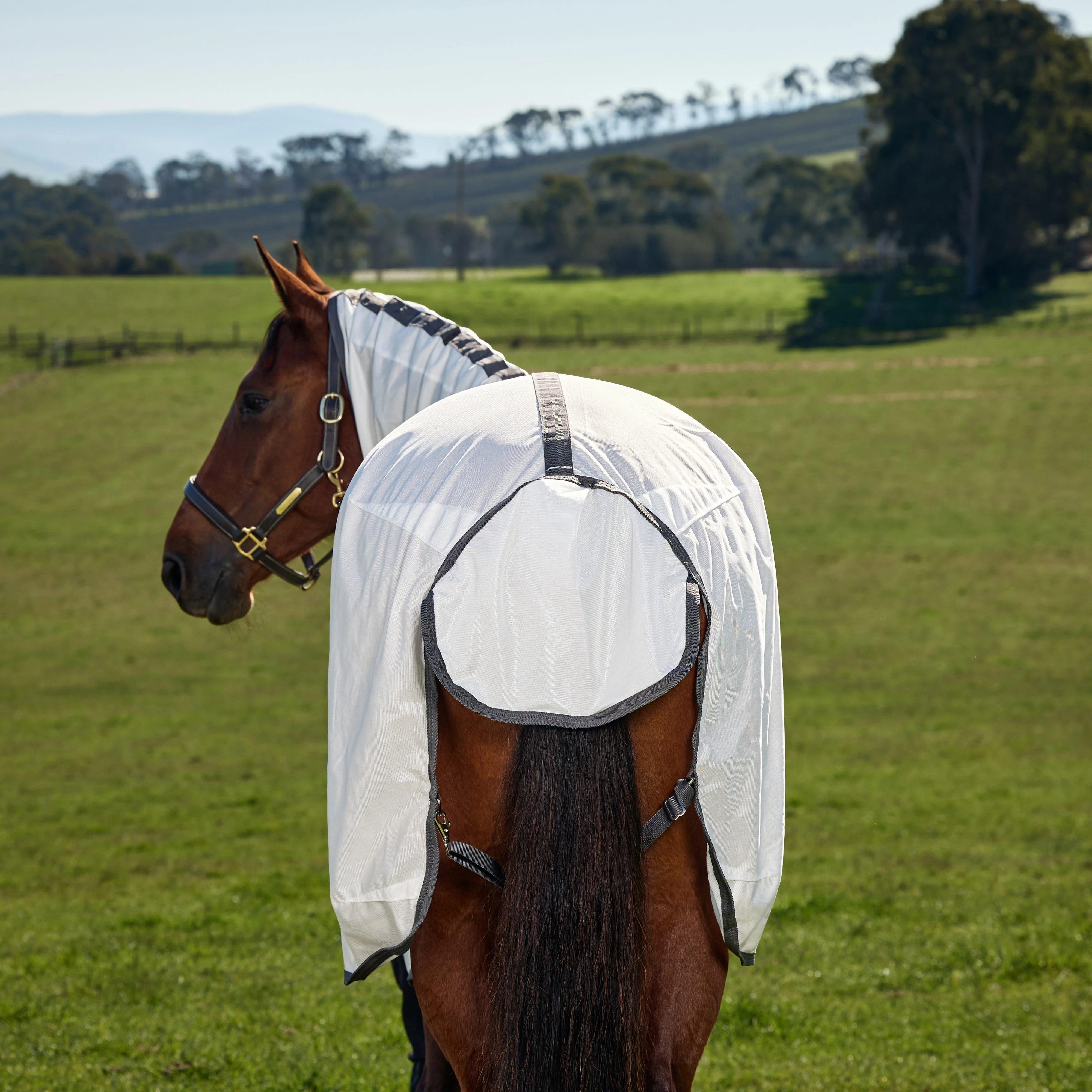 ComFiTec Tyro Combo Neck Fly Sheet  White/Charcoal - Image 5