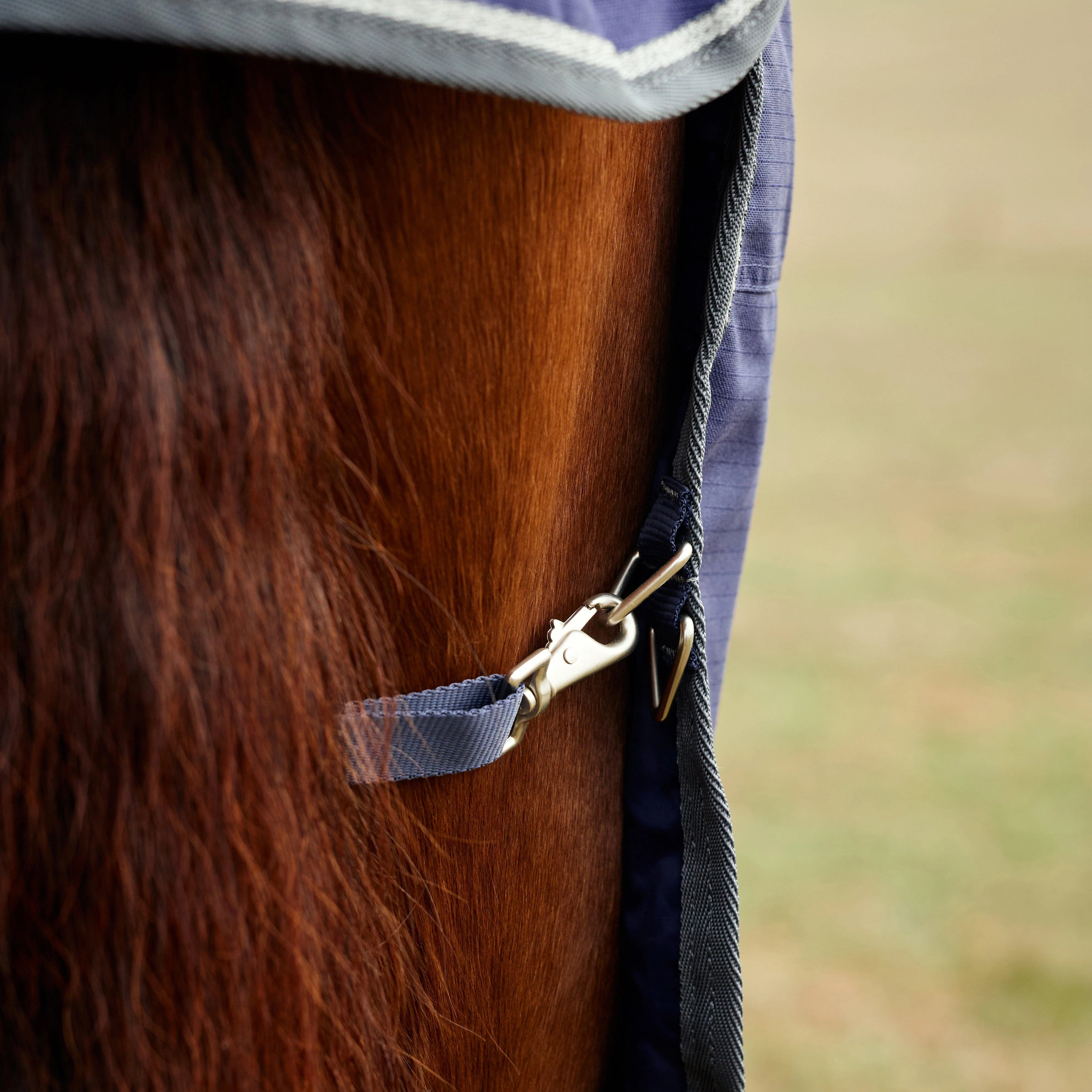 ComfiTec Tyro Standard Neck Turnout Rug 50g - Image 3