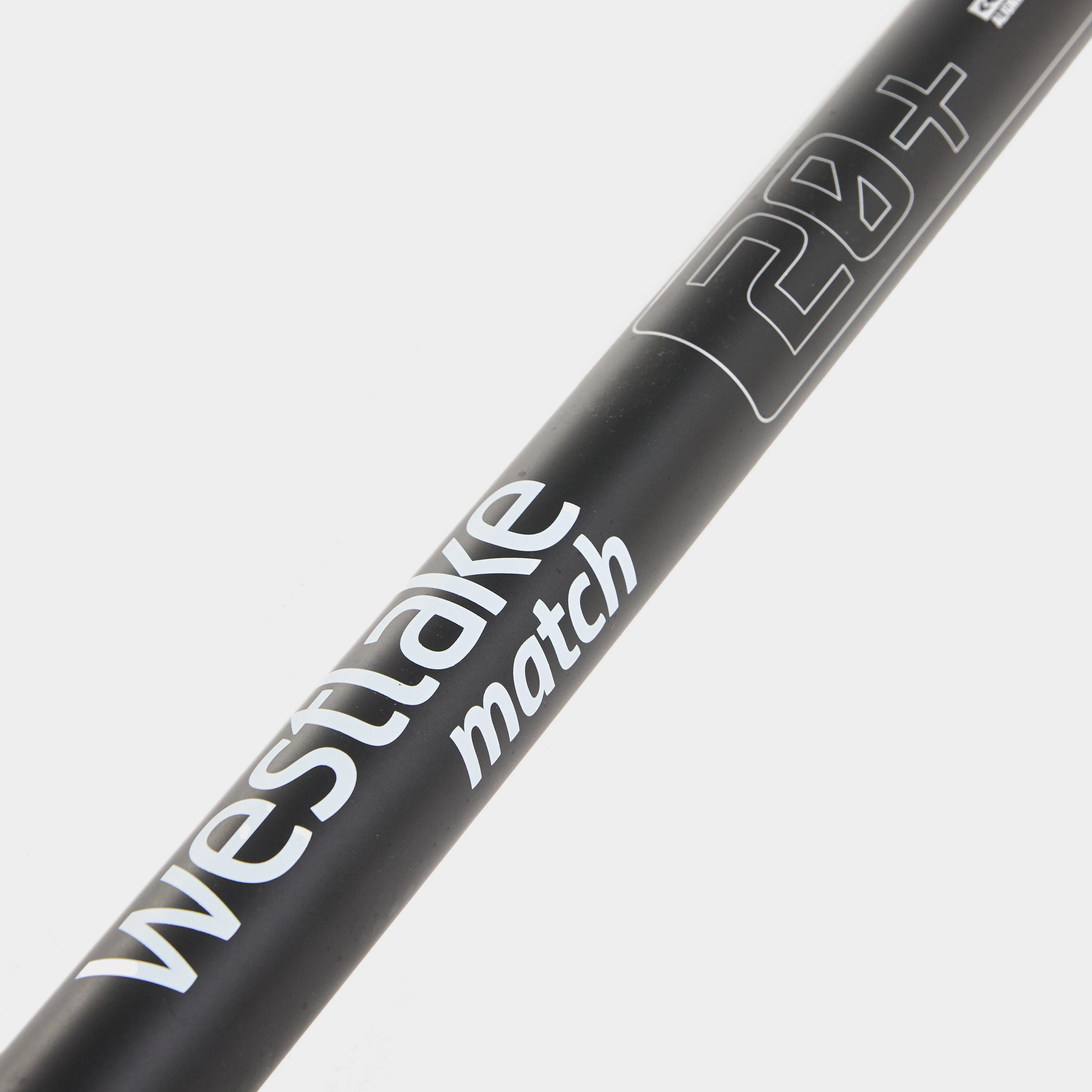 Traxis Power 11m Pole - Image 5