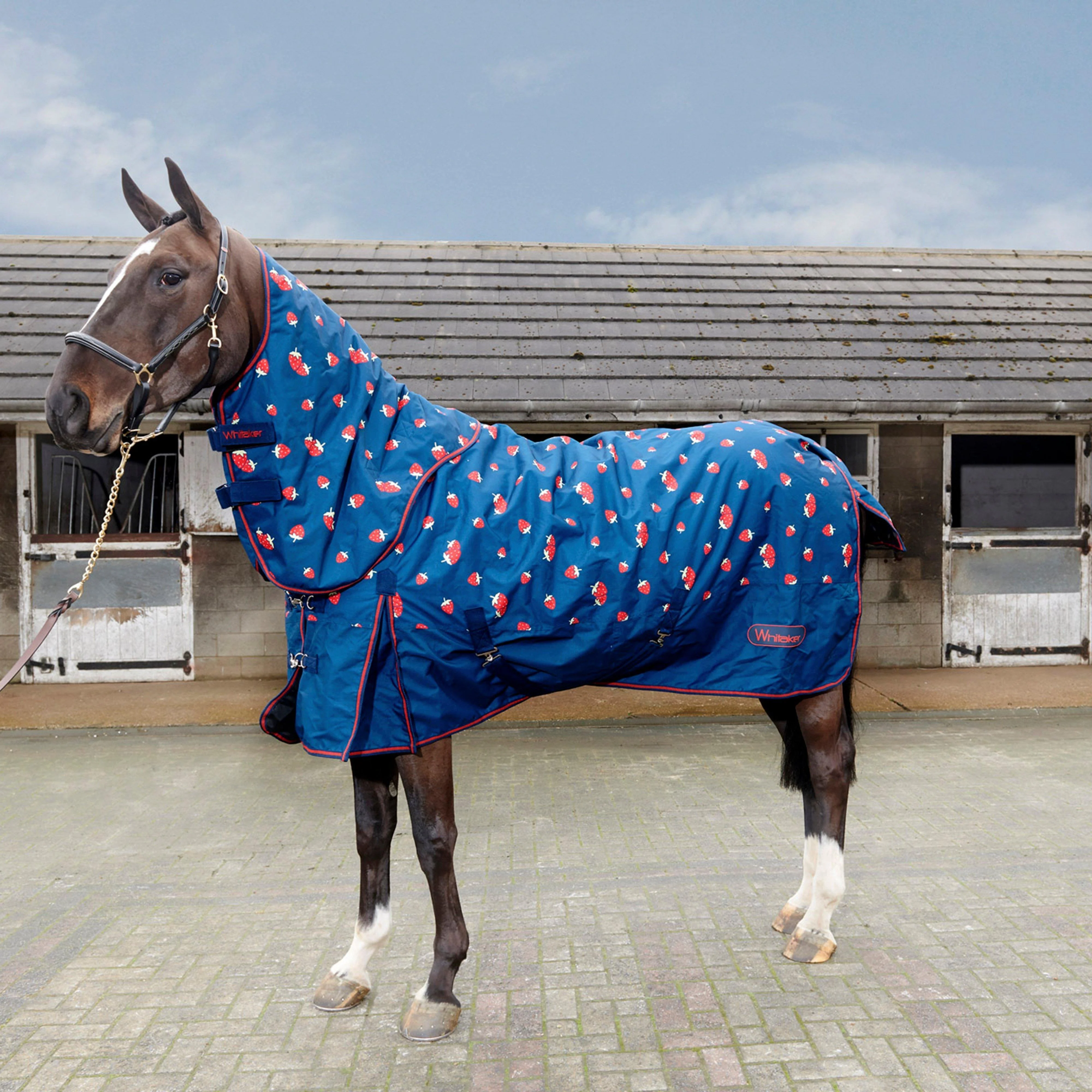 Alice Strawberry 200g Rug - Image 2